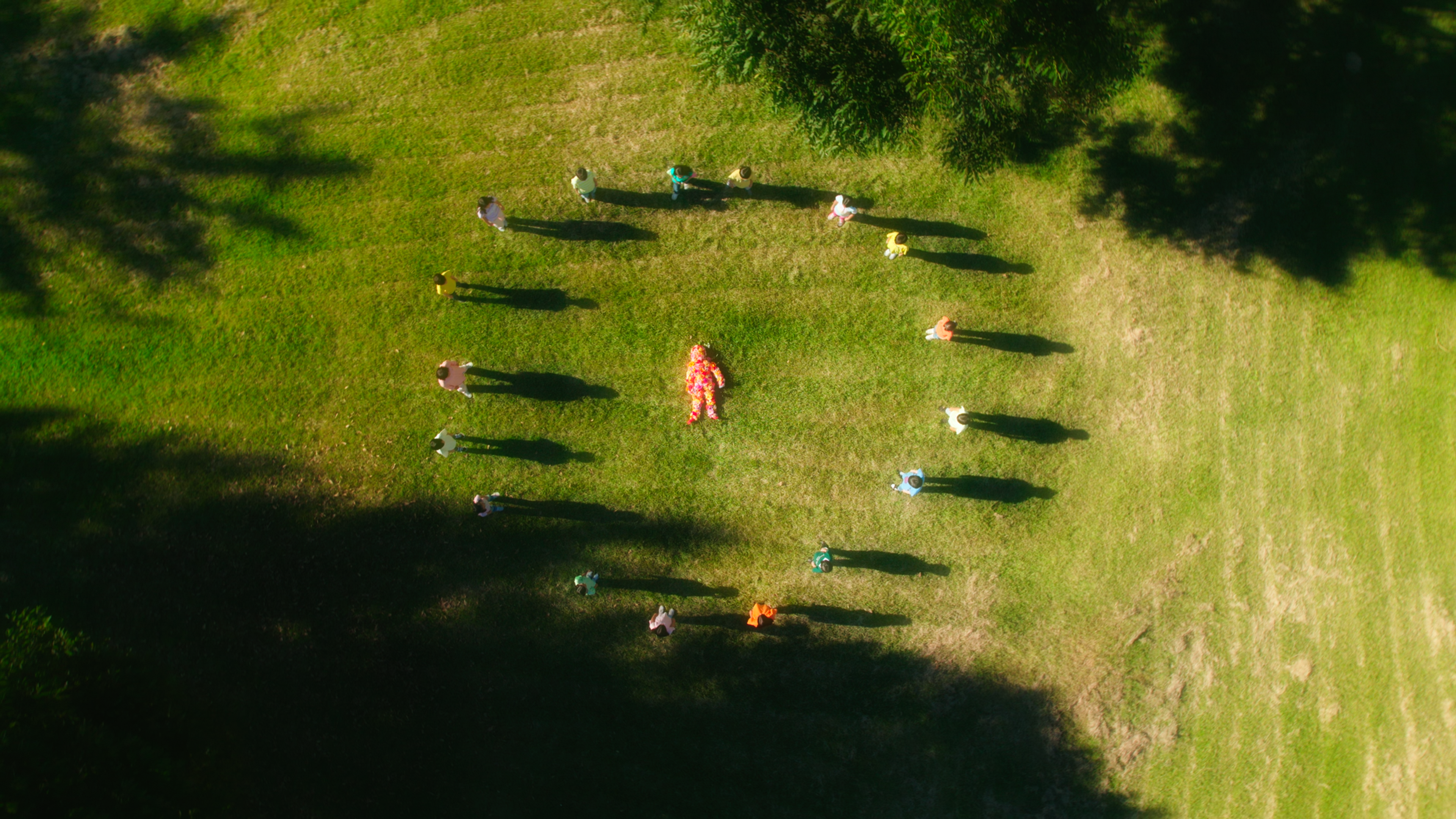 Aerial view of people standing in a circle around a central figure in a grassy field.