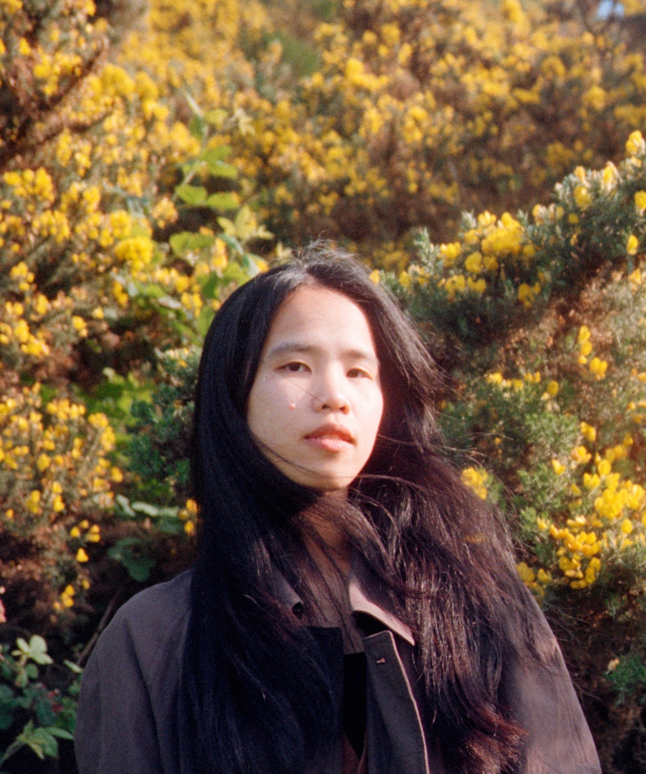 Tianhui Wu
