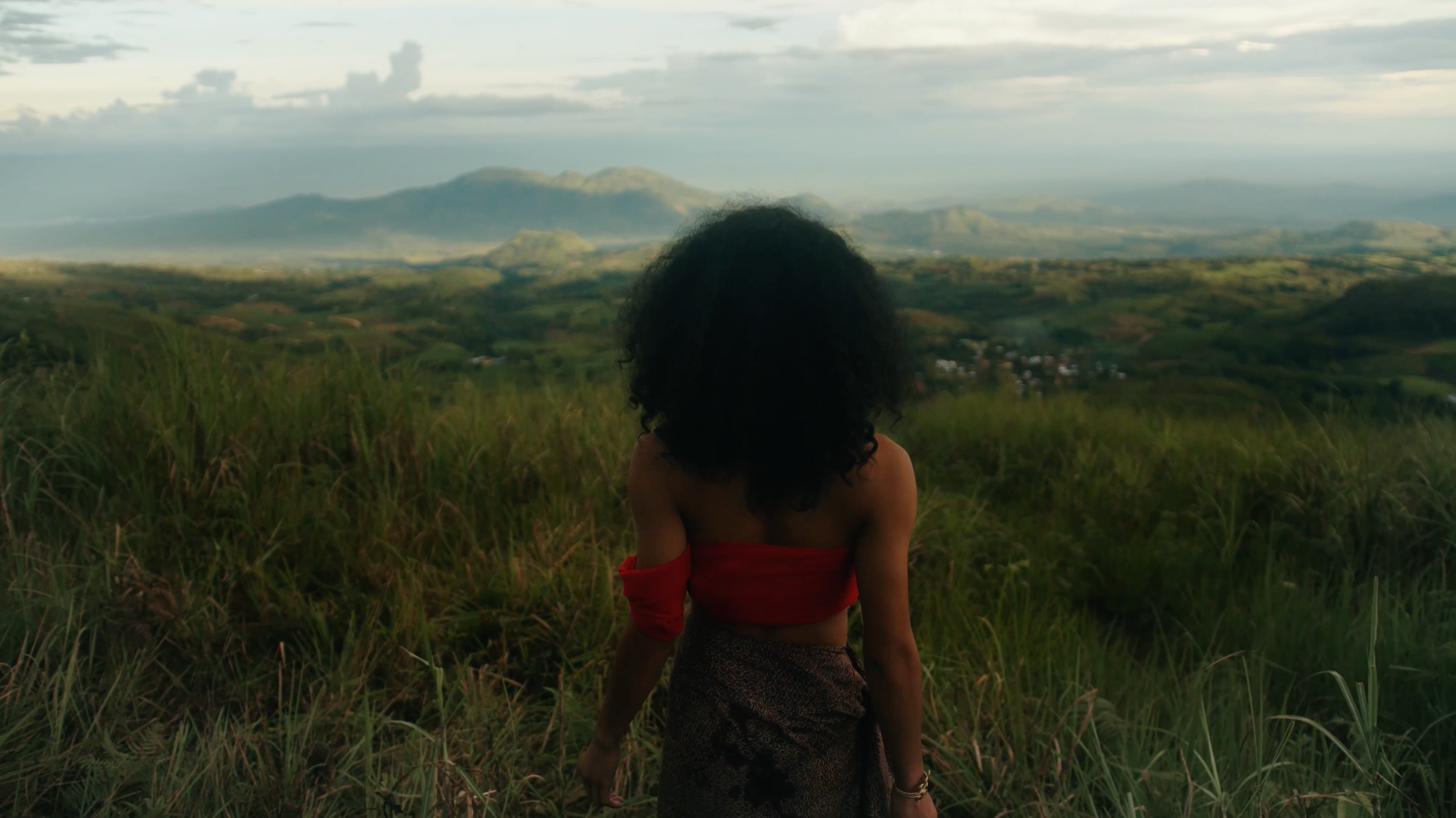 The back of a figure looking towards mountains.