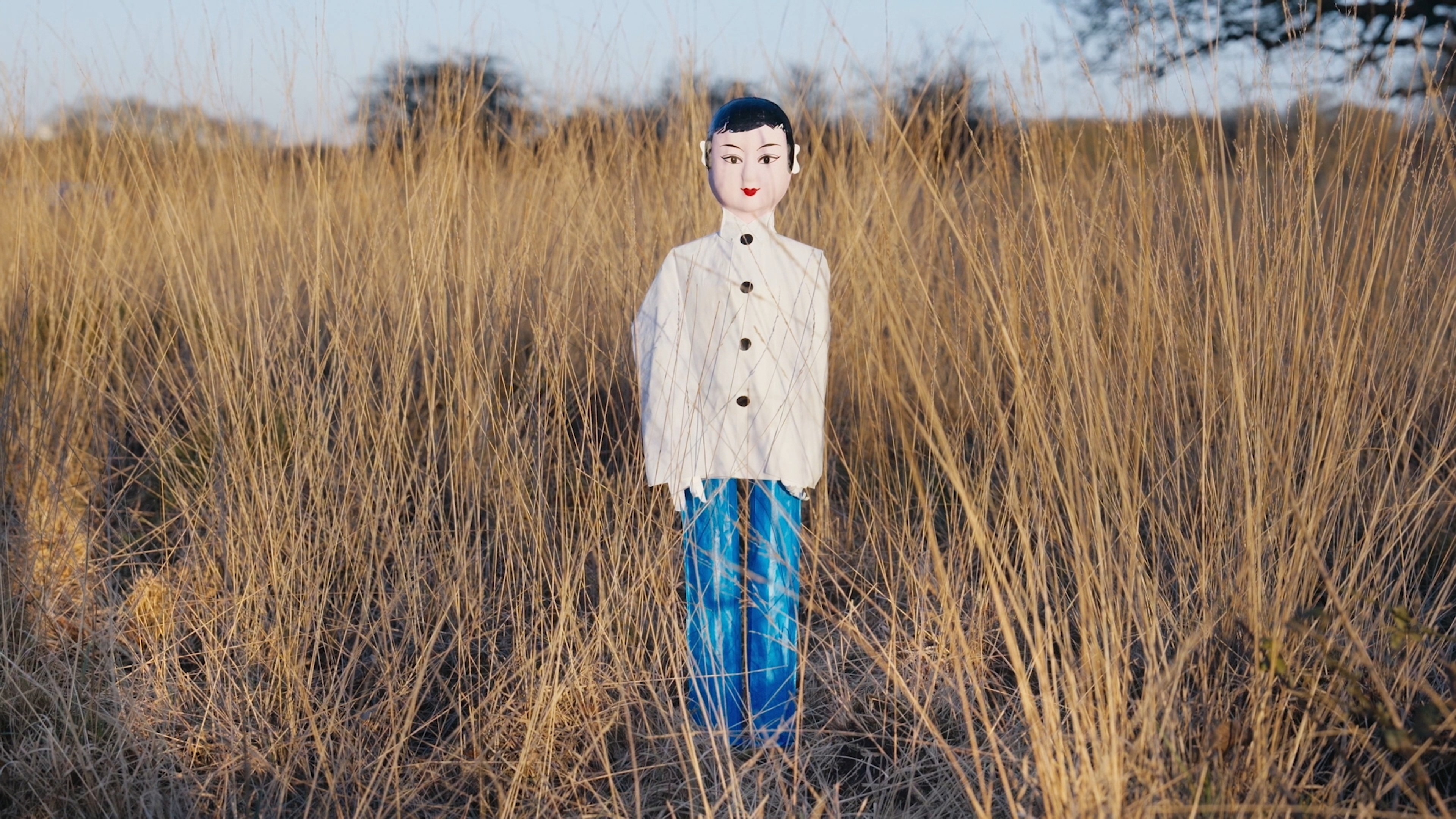 A paper figure in a field.