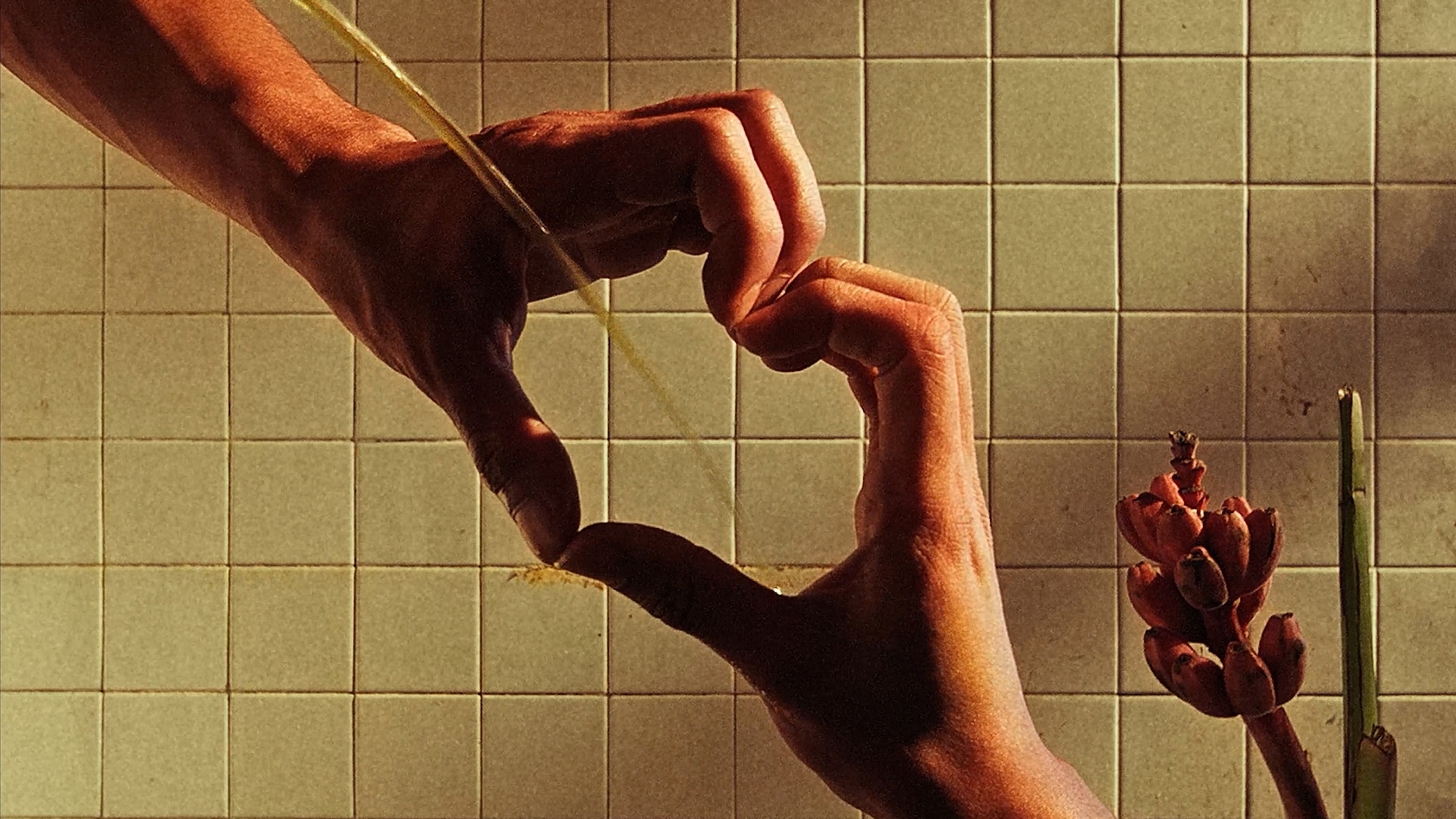 a stream of yellow liquid passes through two hands forming a heart shape.