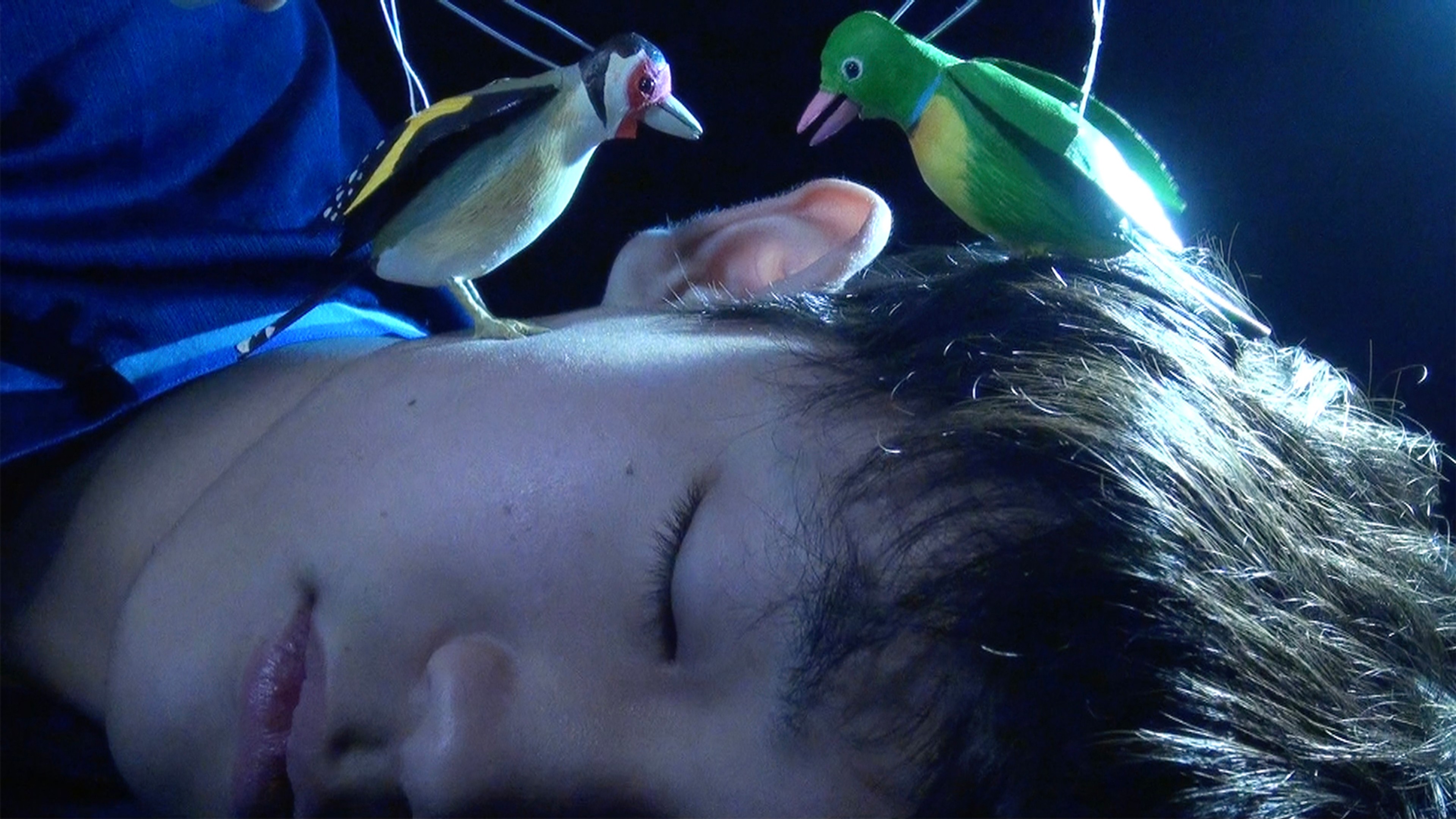 Two puppet birds perched on the head of a person.
