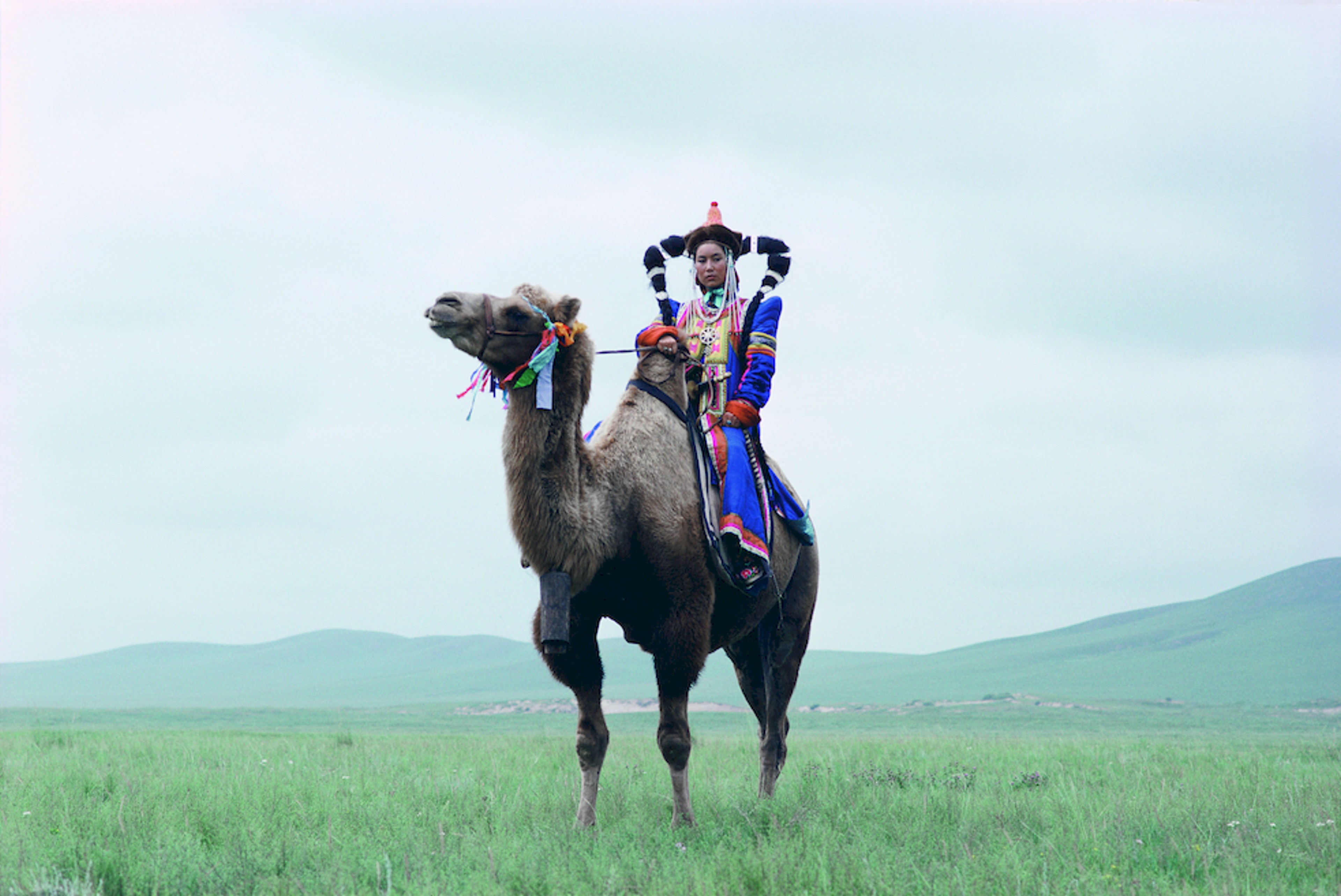 A person in colourful traditional dress riding a camel across a wide Mongolian grassland.