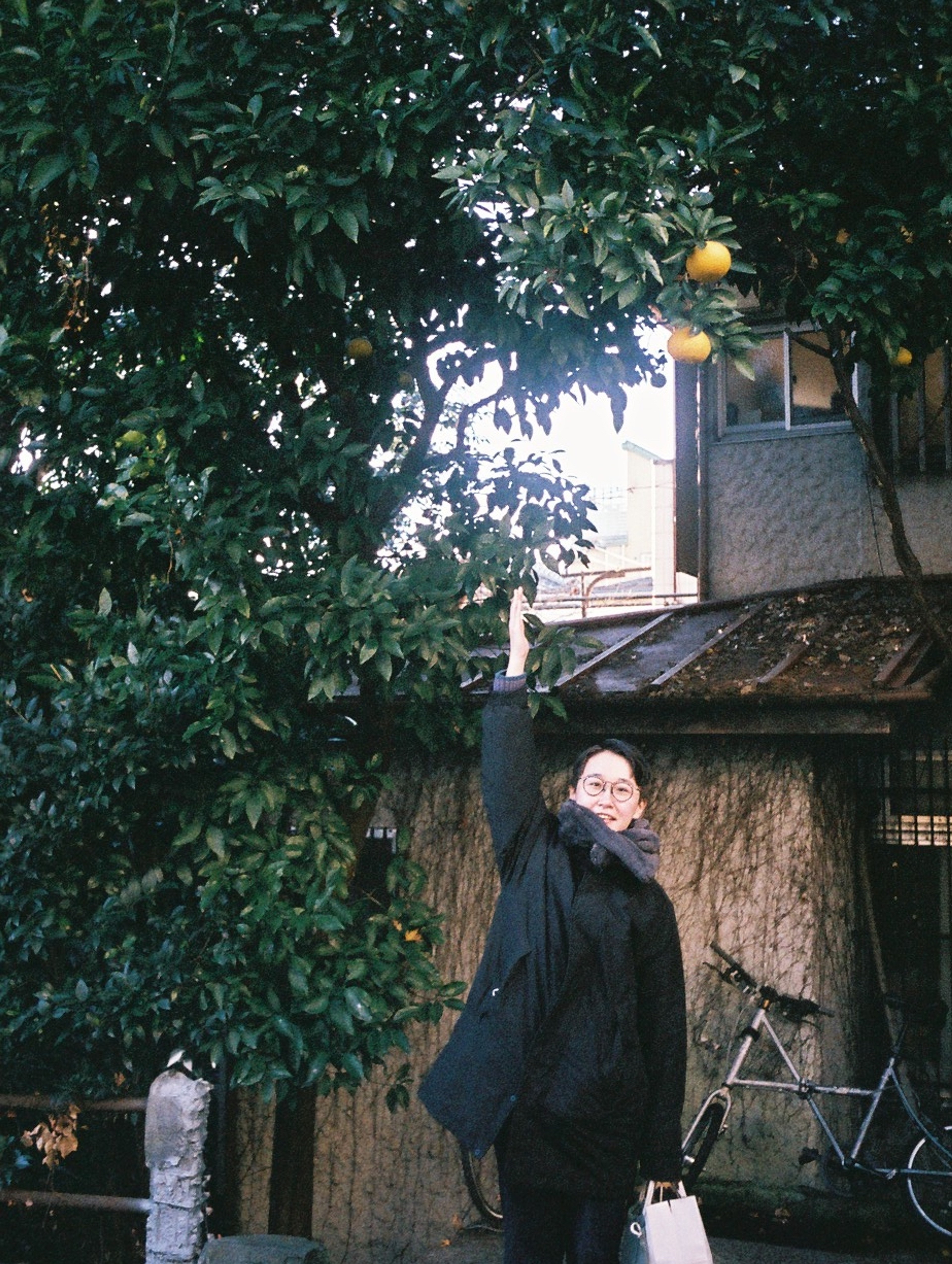 Chihiro Suzuki