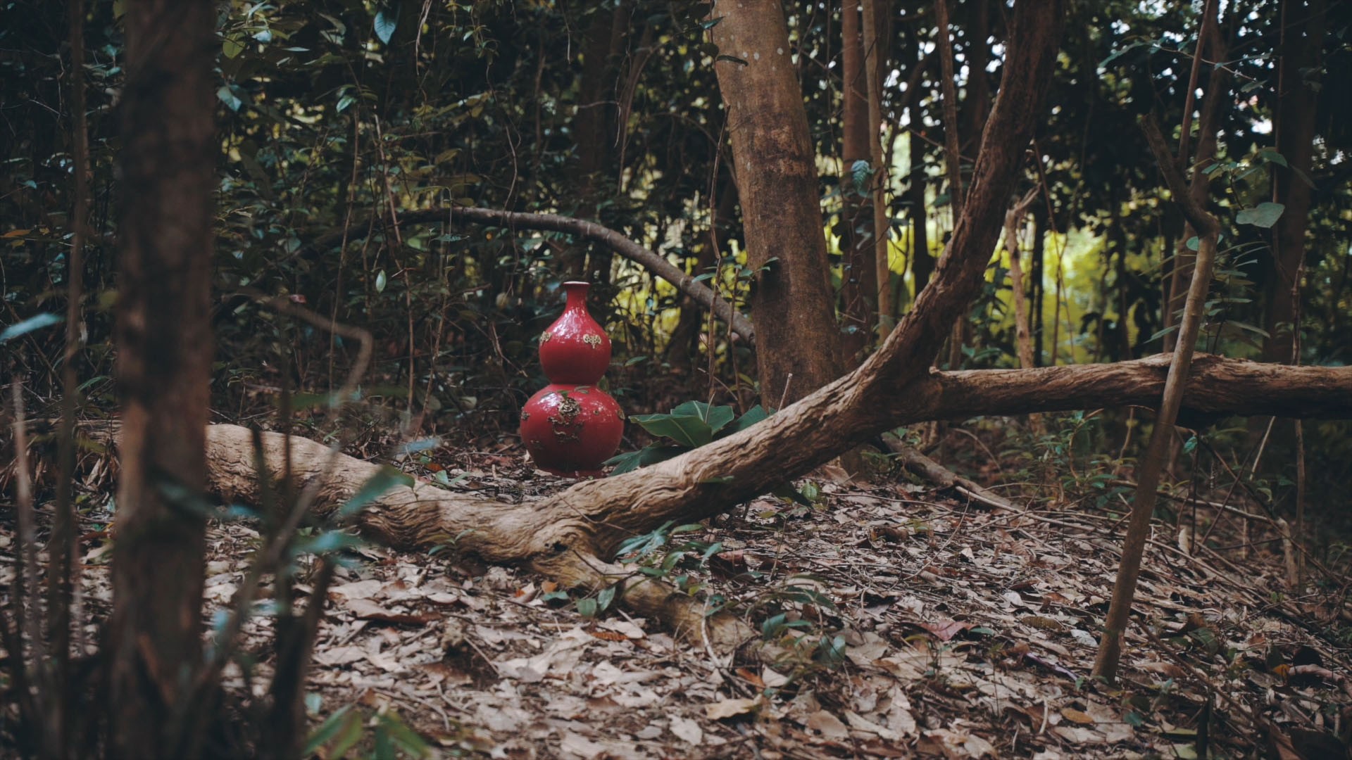 A red double-gourd vessel resting on the forest floor among trees and fallen branches.