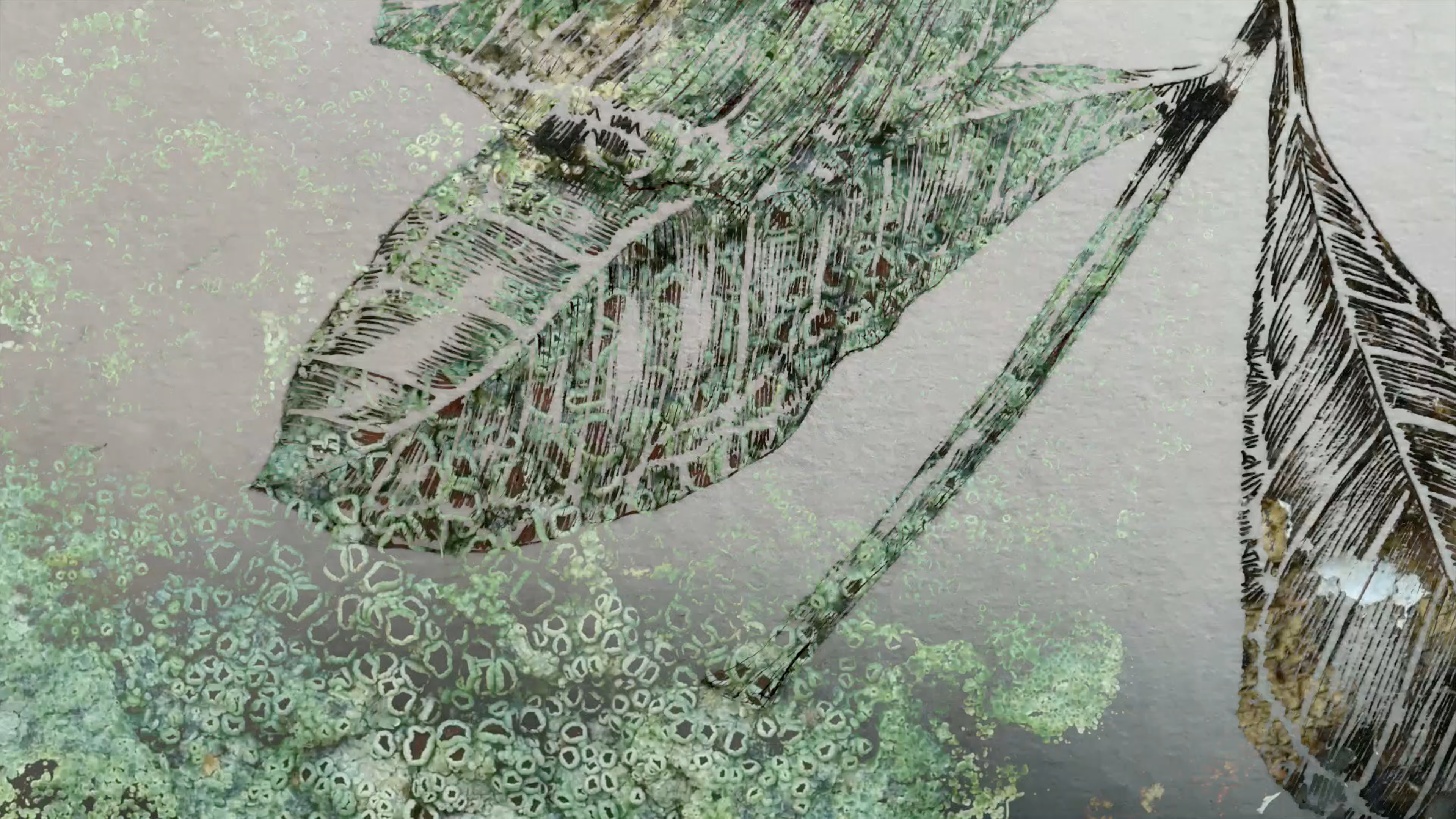 An abstract botanical image of overlapping leaves and stems rendered in delicate green and black linework.