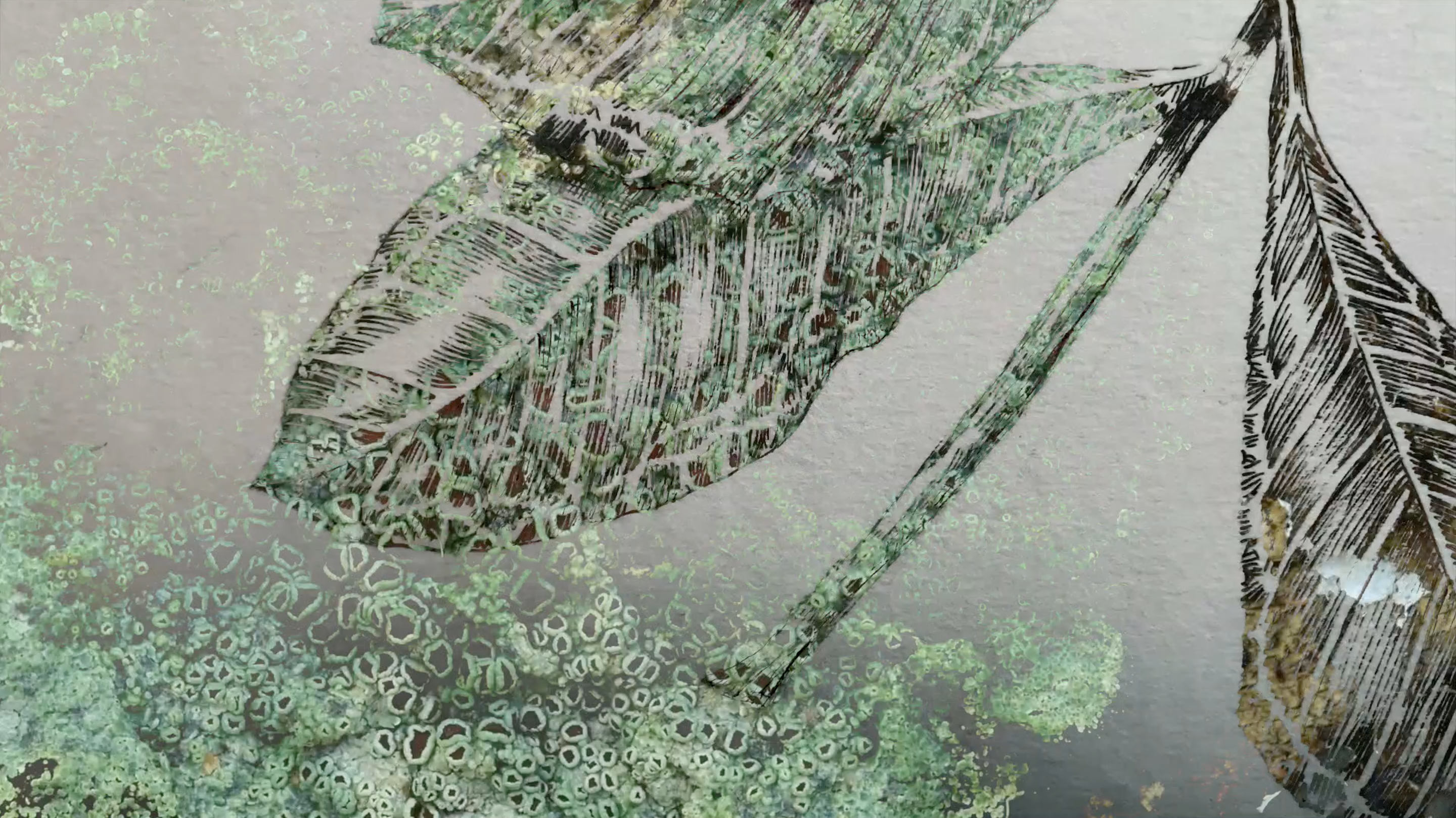 An abstract botanical image of overlapping leaves and stems rendered in delicate green and black linework.