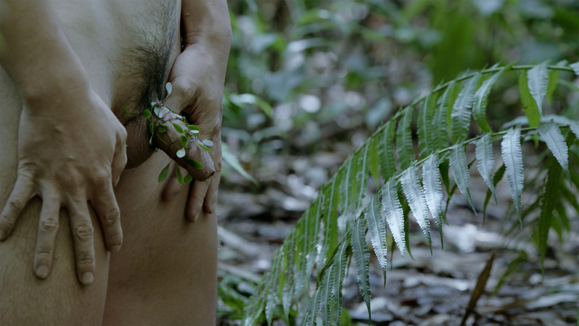 A nude figure standing in a forest, with their hands resting on their thighs and small leafy branches covering the groin.