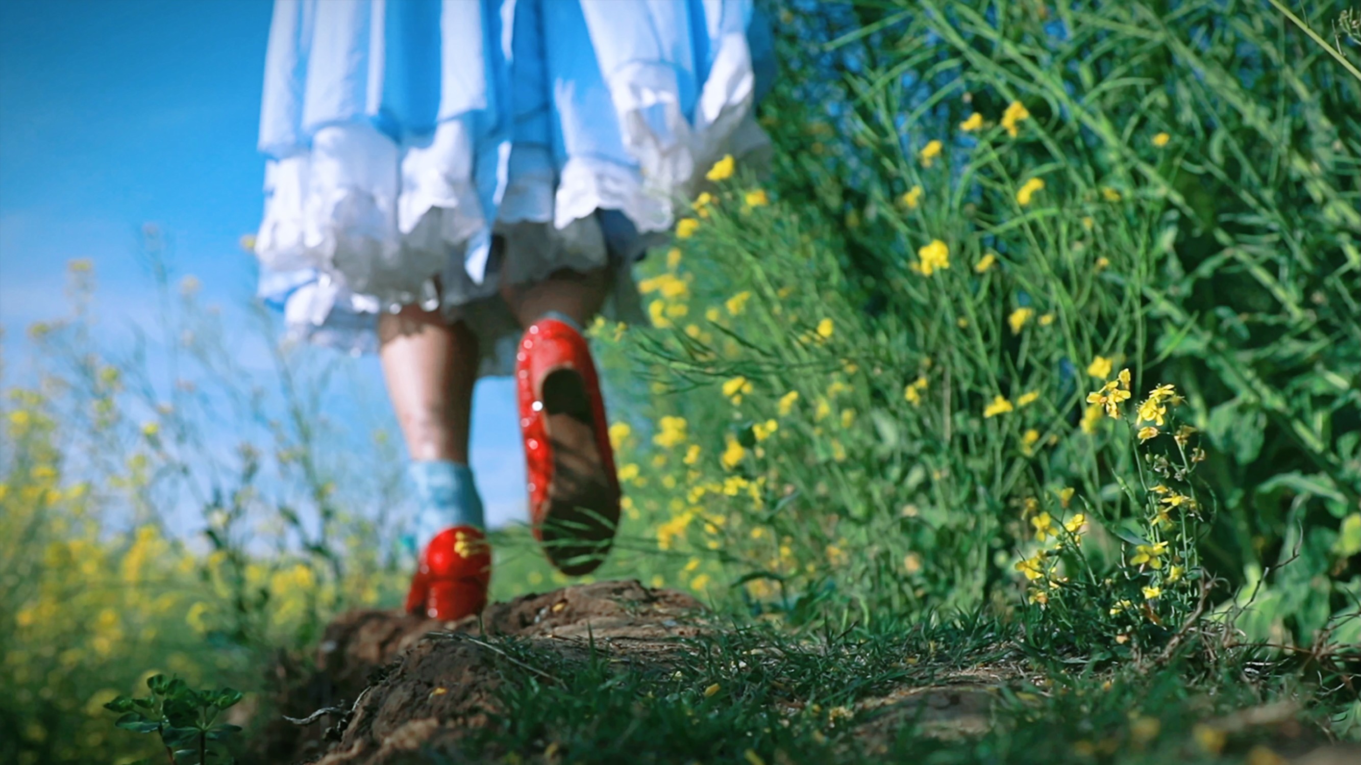 Feet wearing red shoes walk down a path lined with yellow flowers.
