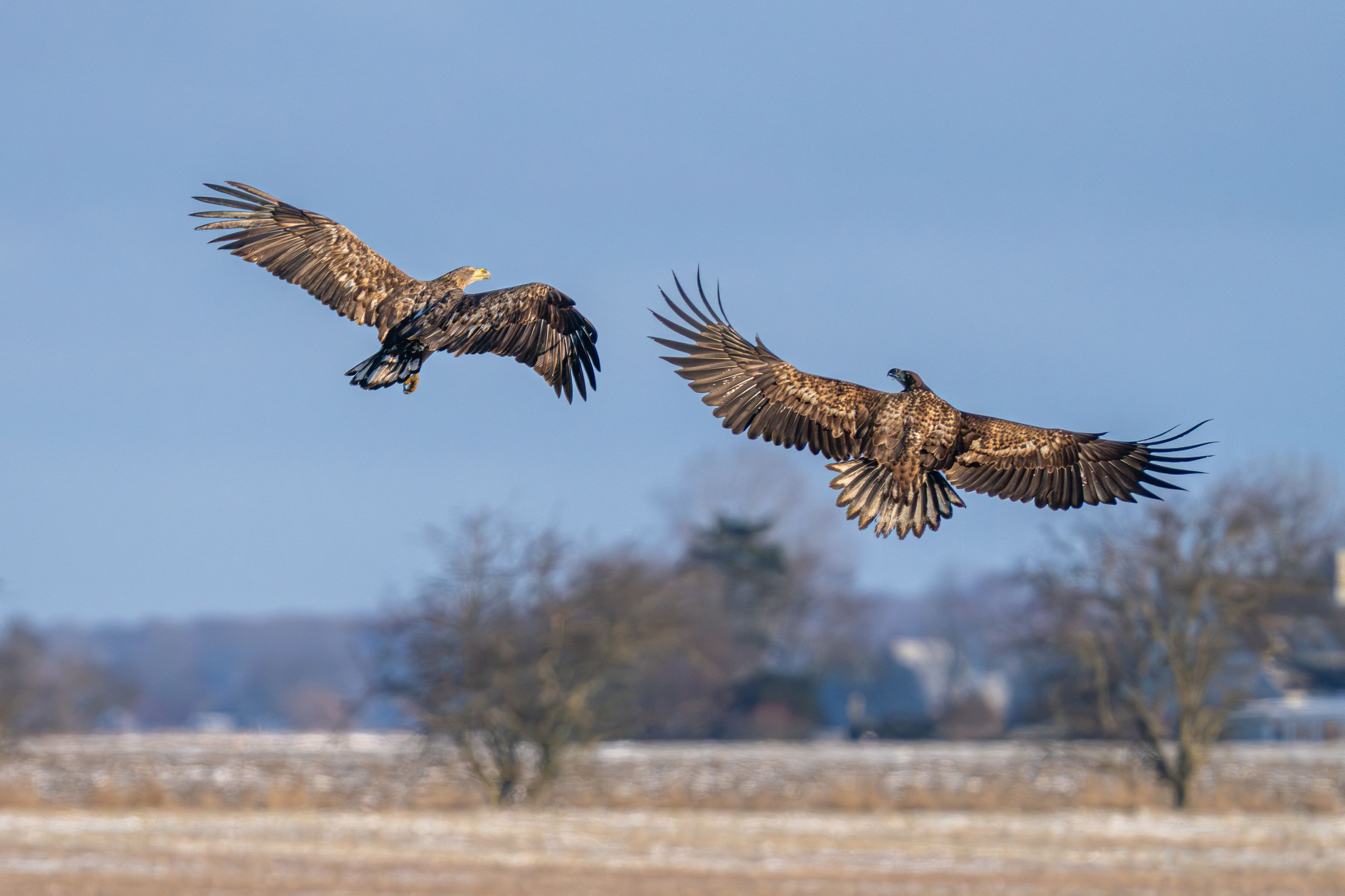 image-02f54ecc9ed8846de3c79536bfc281d343eabc50-5304x3536-jpg