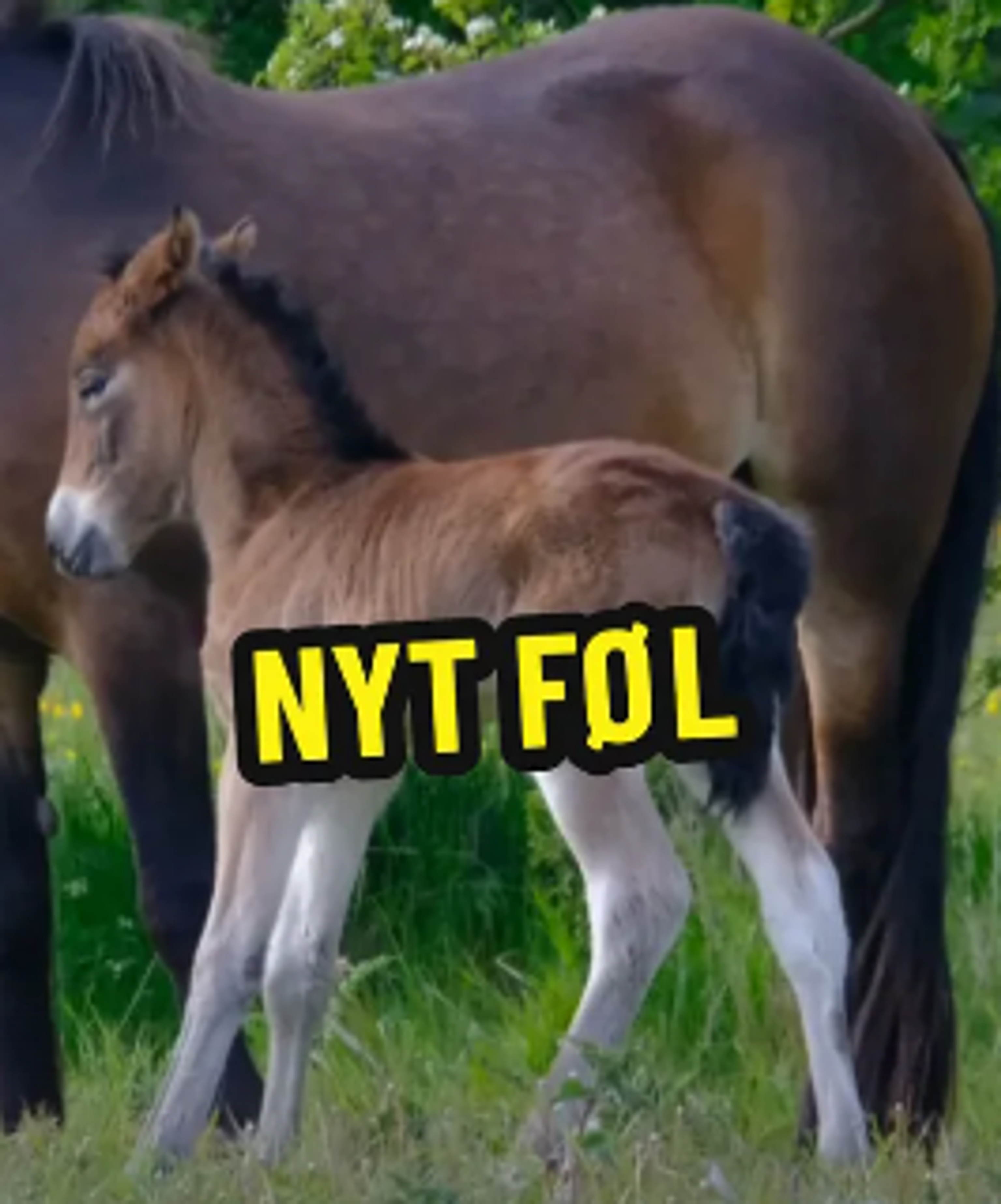 image-03f67ac943823d4d680fed194fbd0f3e7089c8d4-266x320-png