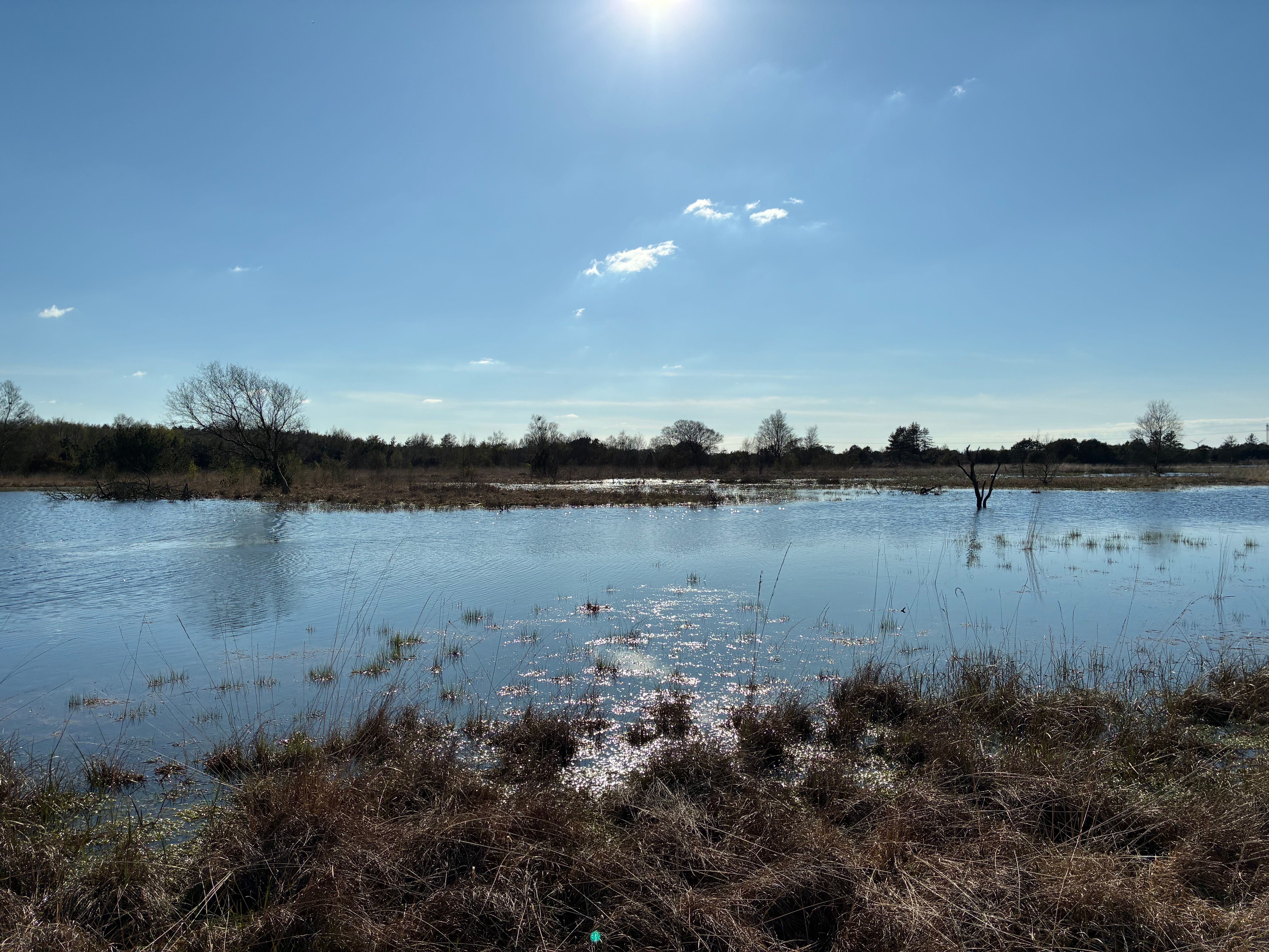 Nørholm Hede