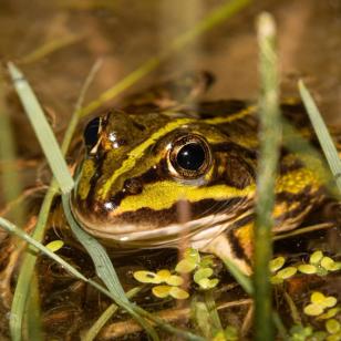 image-0b410dce97b82c1d2f55c85d5e263f64e3e4db29-1146x1145-jpg