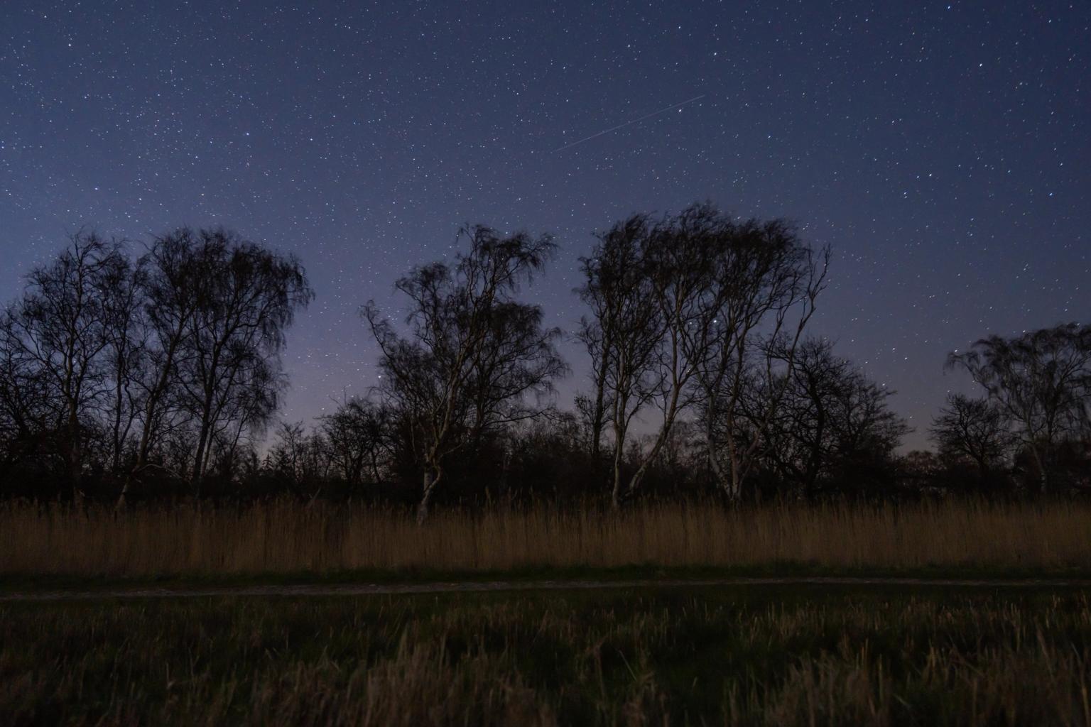 image-0ccf768288fc72366cacbc14915273297b3aa66d-8841x5894-jpg