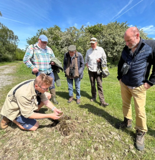 image-1a6da44b5a74f39cb17bfef67f786cb3847cc866-1125x1159-png