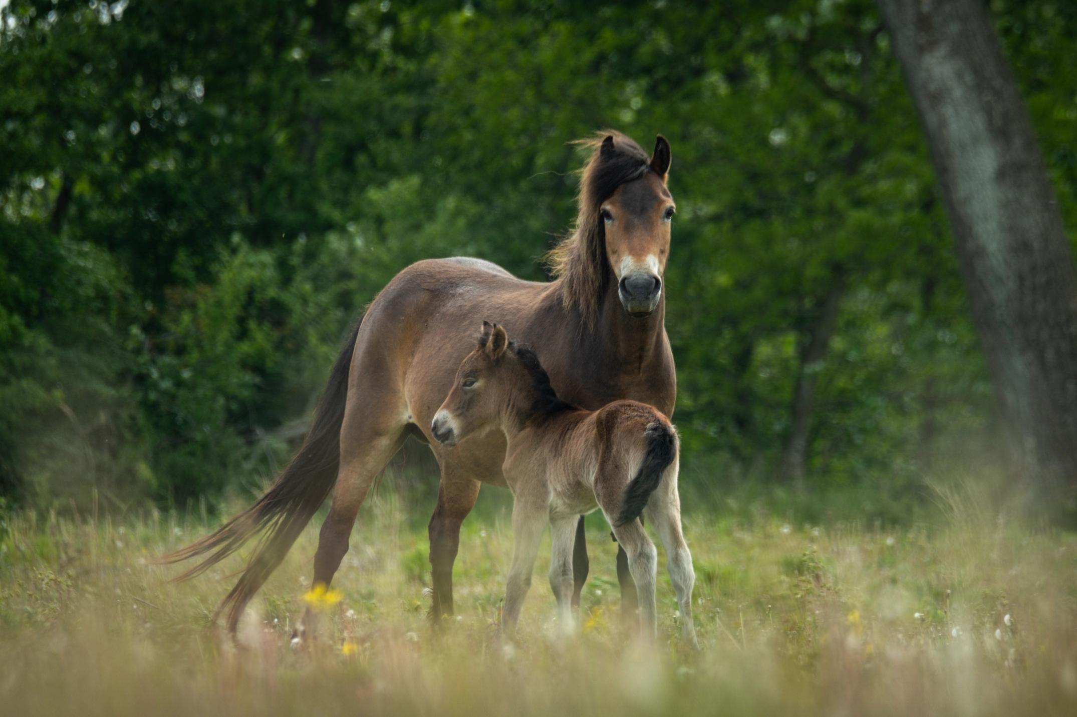 image-1bd433a9ab28fb1b2ff53aadbf845d090ab4b22d-6240x4160-jpg