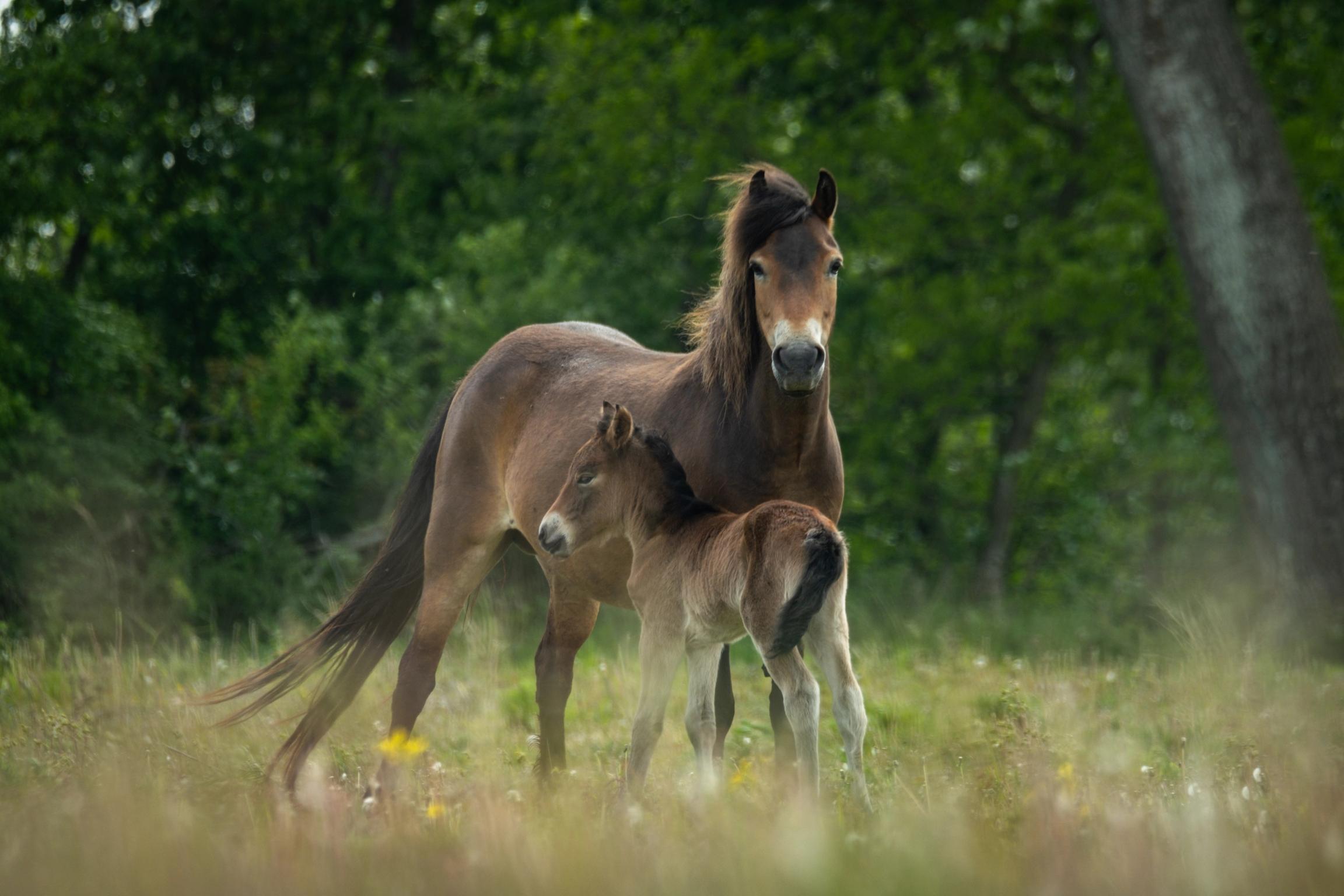 image-1bd433a9ab28fb1b2ff53aadbf845d090ab4b22d-6240x4160-jpg