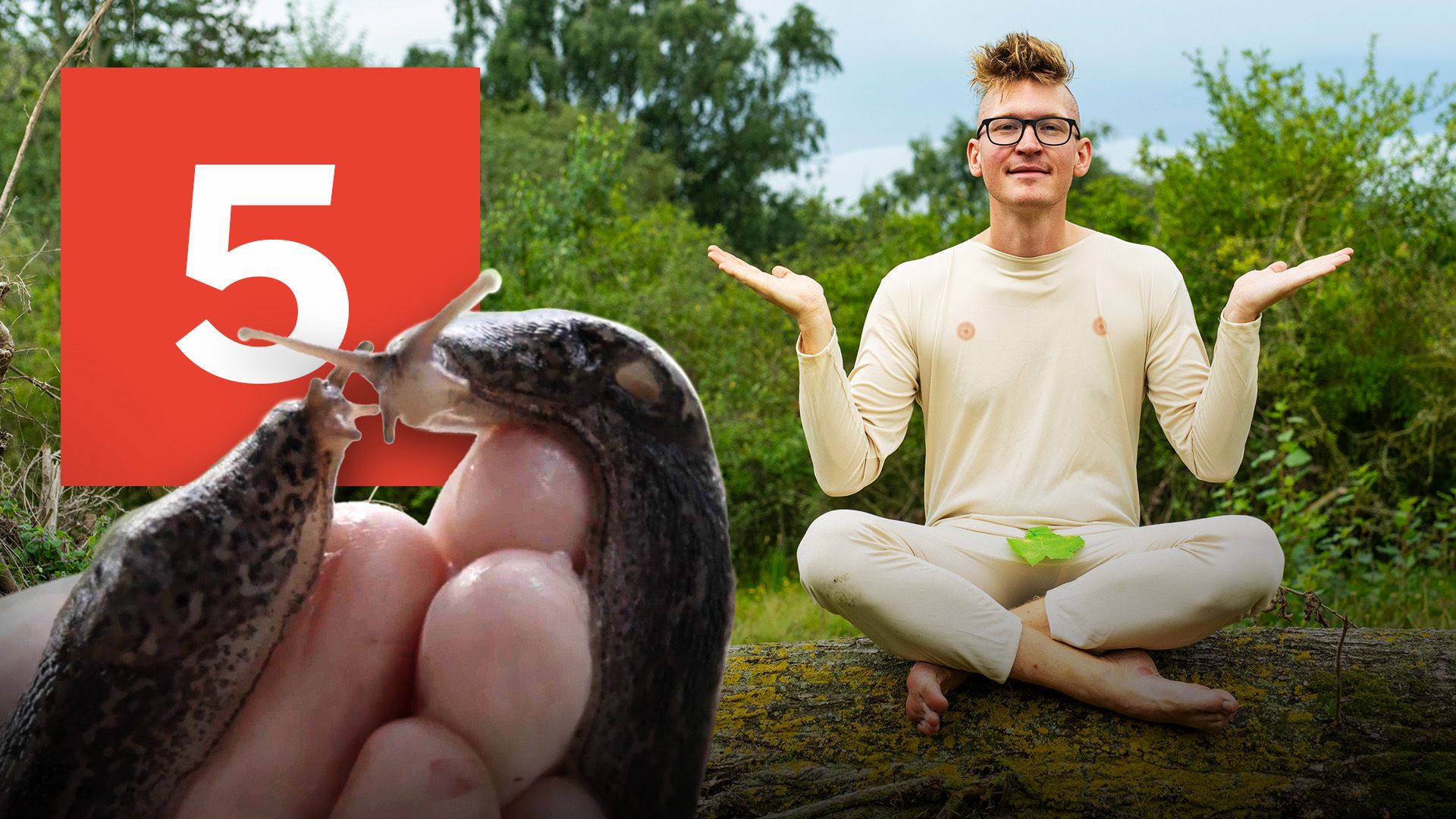 image-1bf0a8262fface7fcde3fbb21ca6fe60a4e01928-1920x1080-jpg