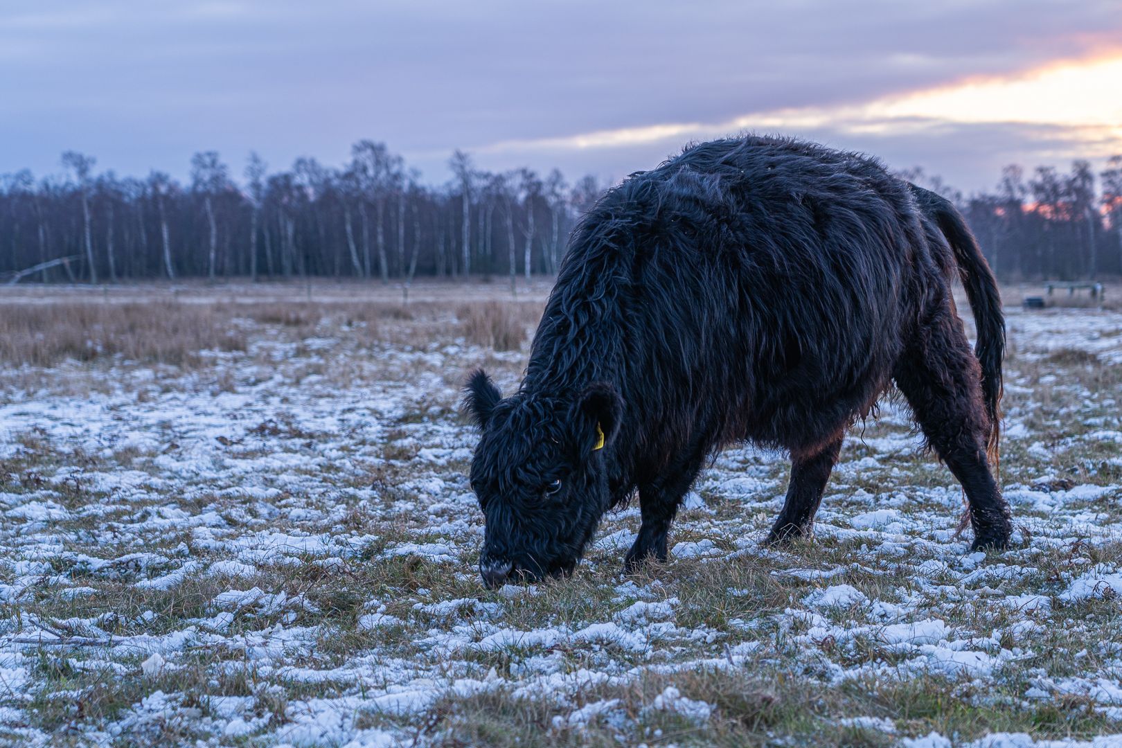 image-216aefda7480e104969aa3401ef674f750456b94-1620x1080-jpg