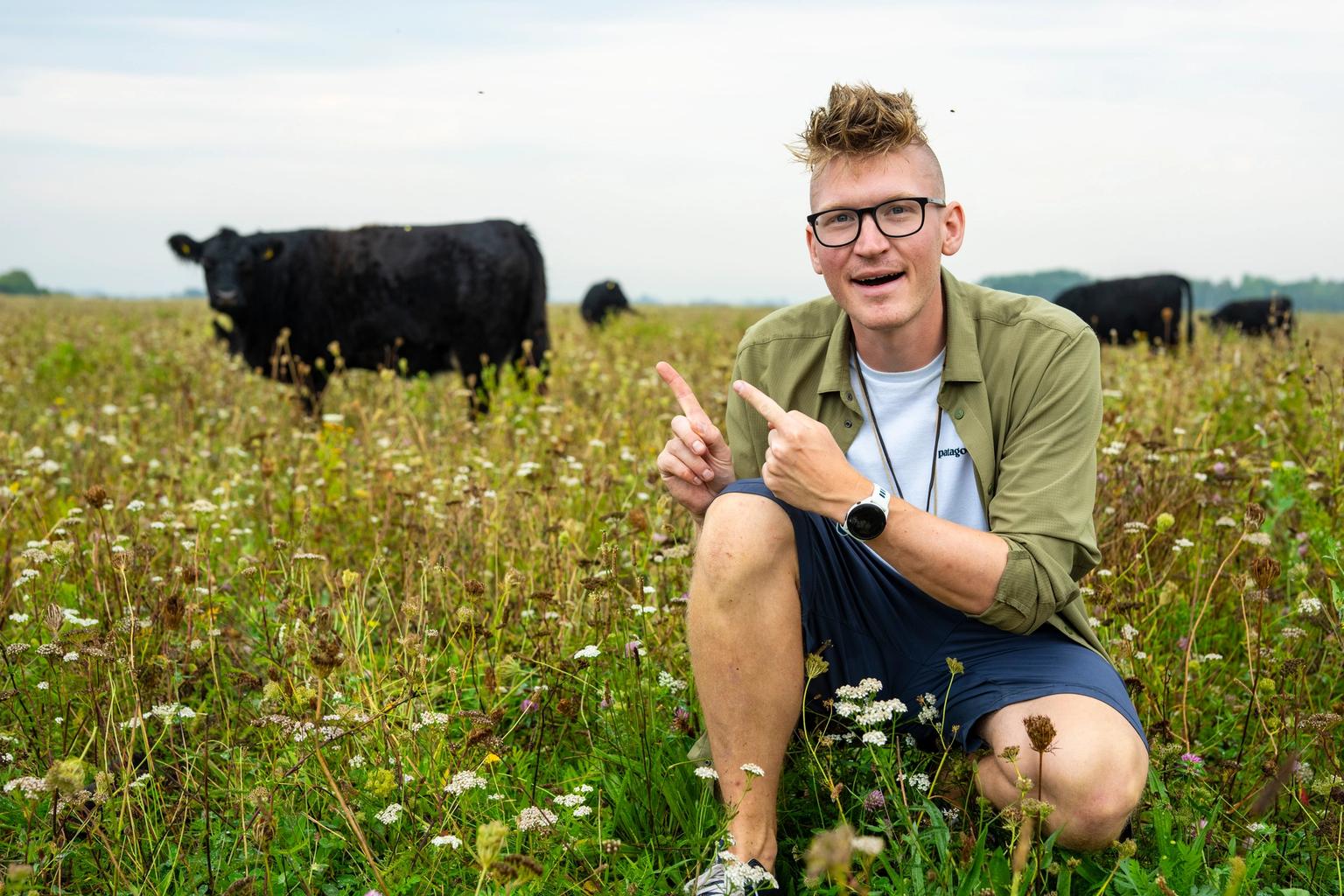 Jens peger på en galloway-okse