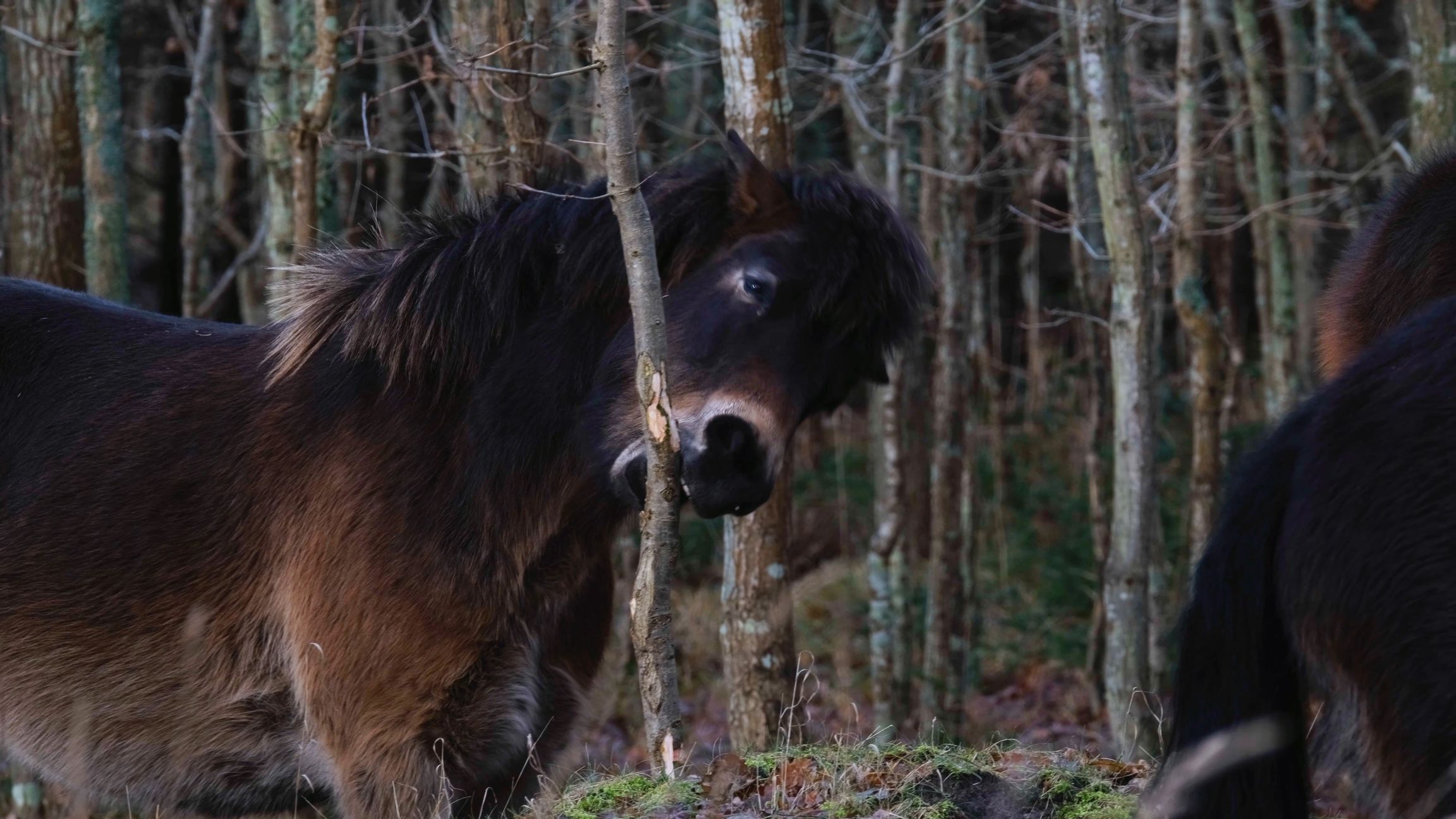 image-26d3ff3f5216fc77fb53b9760afa6988486776c6-3840x2160-jpg