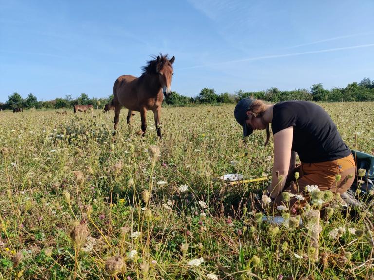 image-276068aa0cb4034db32fffc3632cbed21f65bfcf-4000x3000-jpg