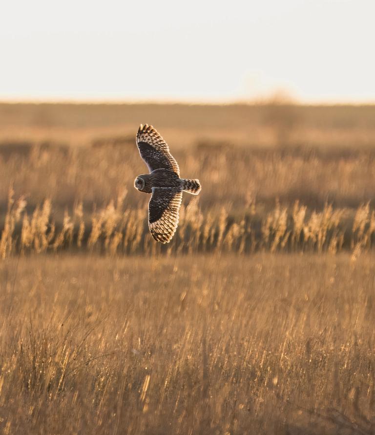 image-2b9c2a5240b8ec2b0c610cc6efd37213de8aebaf-3358x2239-jpg