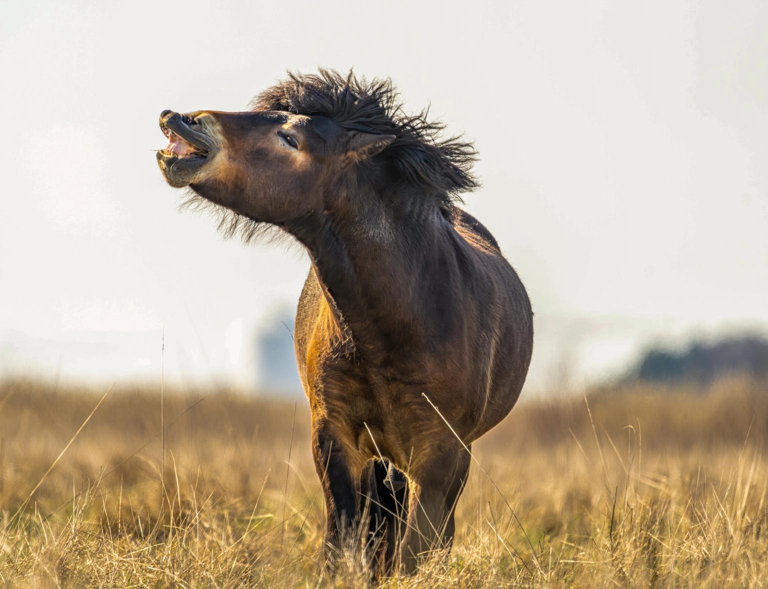 image-2dc7696ca3e55f43b83662637629911e6ff804e5-8640x5760-jpg