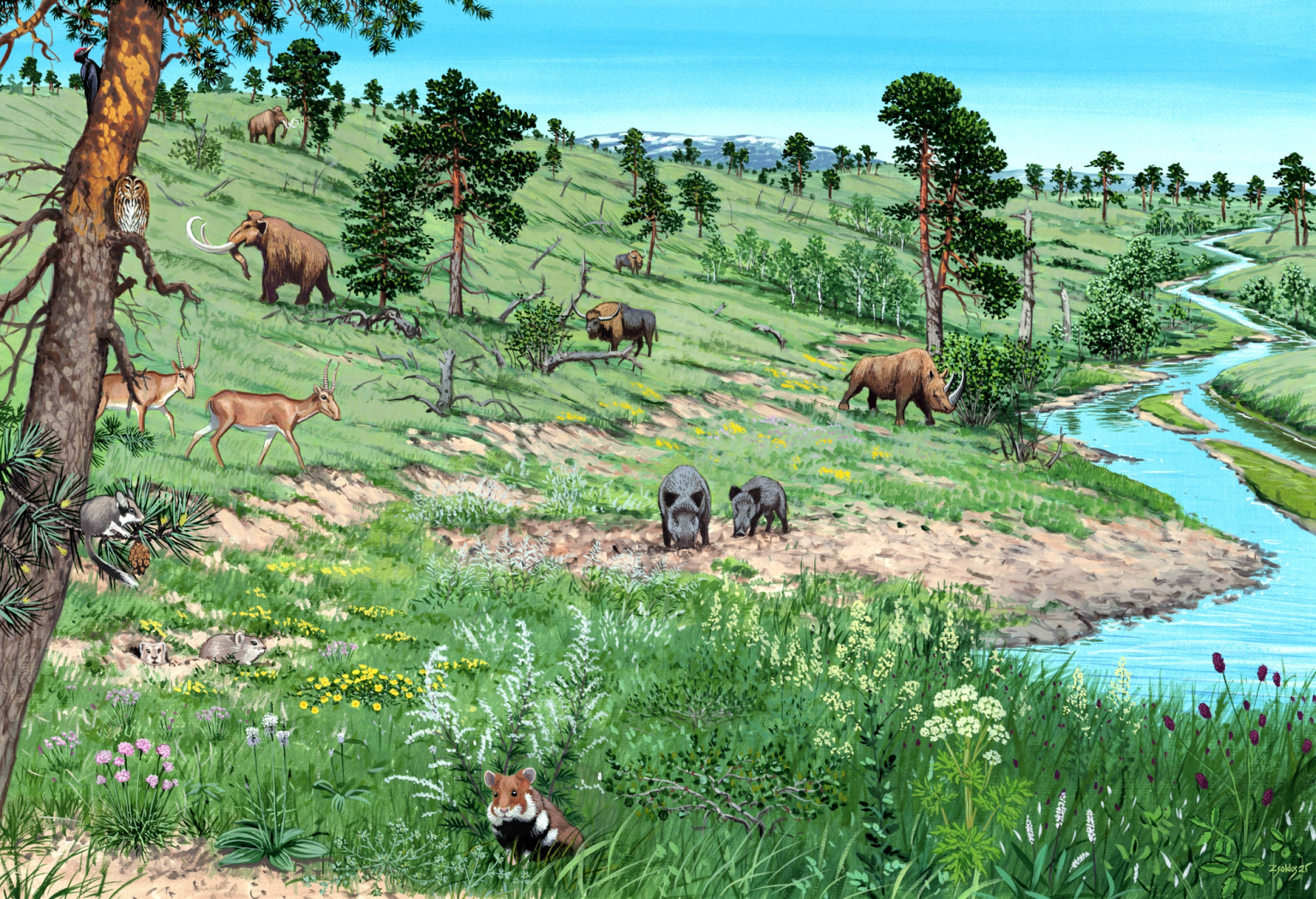 image-32b4d6aa010230813fb8dba29c3aef2ba94b283a-3154x2157-png