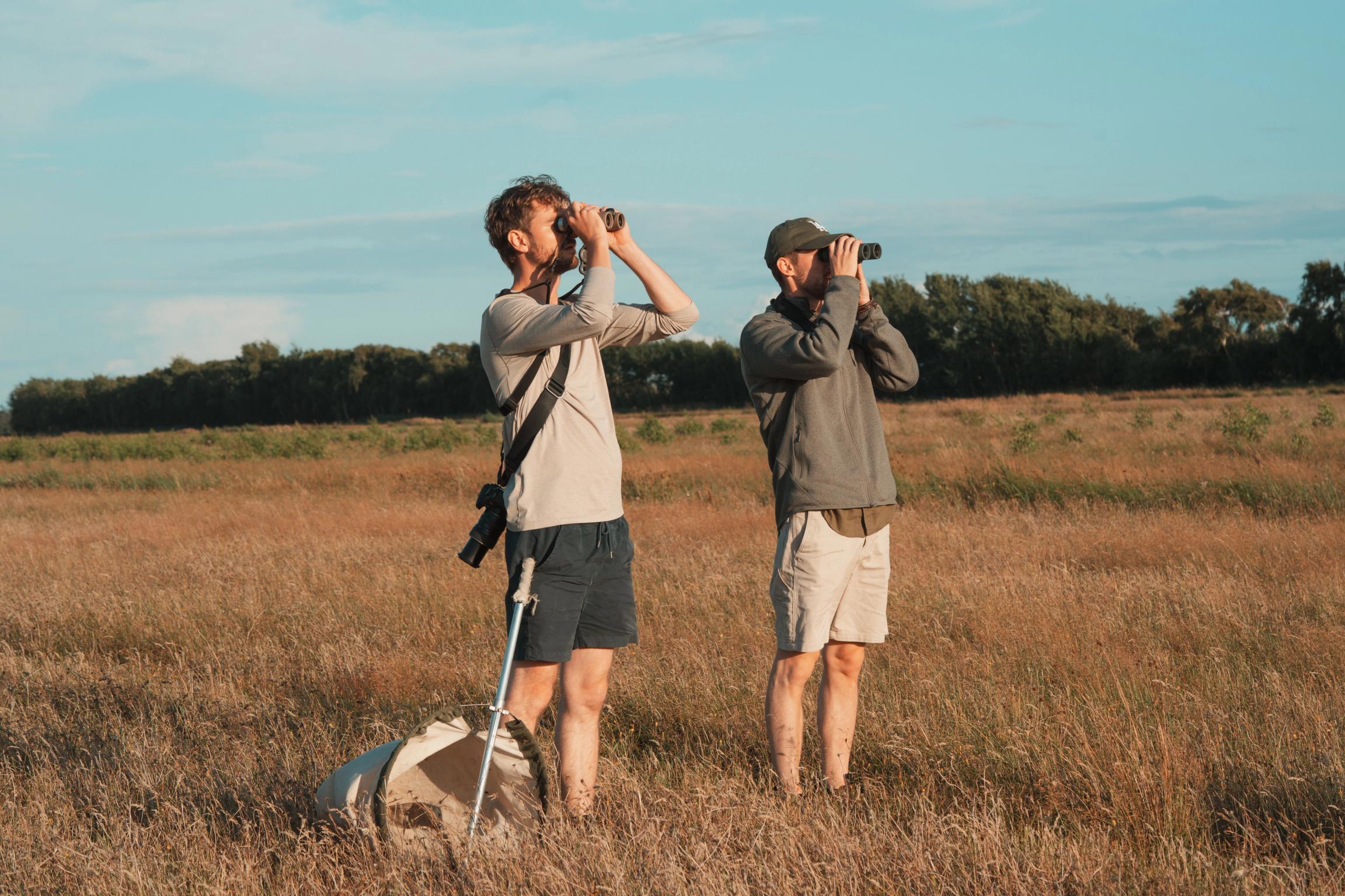 image-3bbfec55435d45c9b71fe49b59fa99d8bbeb6431-7008x4672-jpg