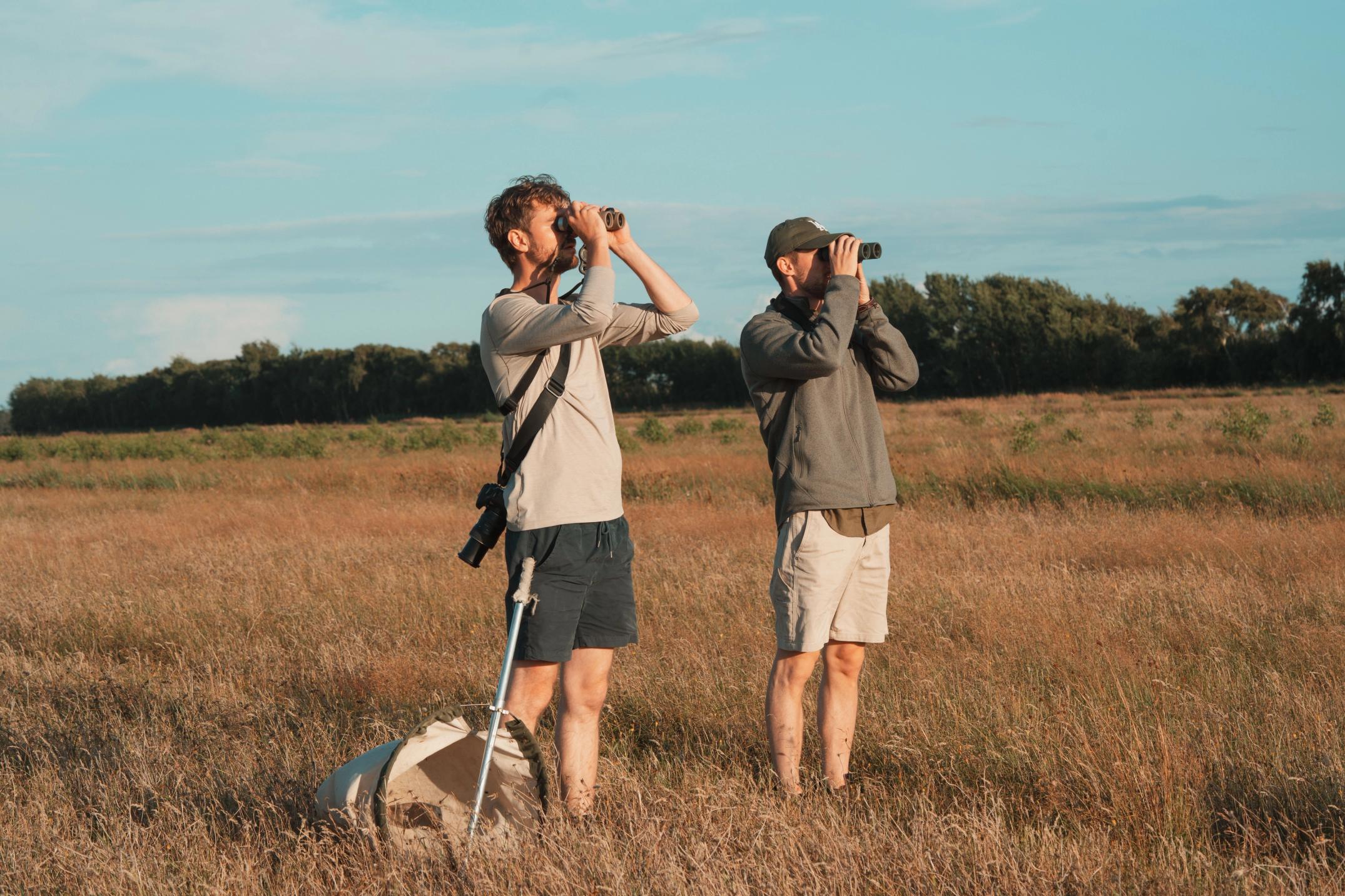 image-3bbfec55435d45c9b71fe49b59fa99d8bbeb6431-7008x4672-jpg