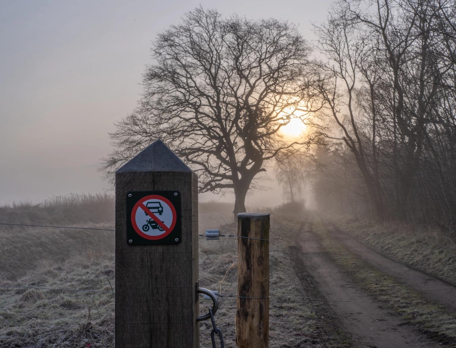 image-40bc97a49aa88f365550a84e64c89a9811452765-9504x6336-jpg