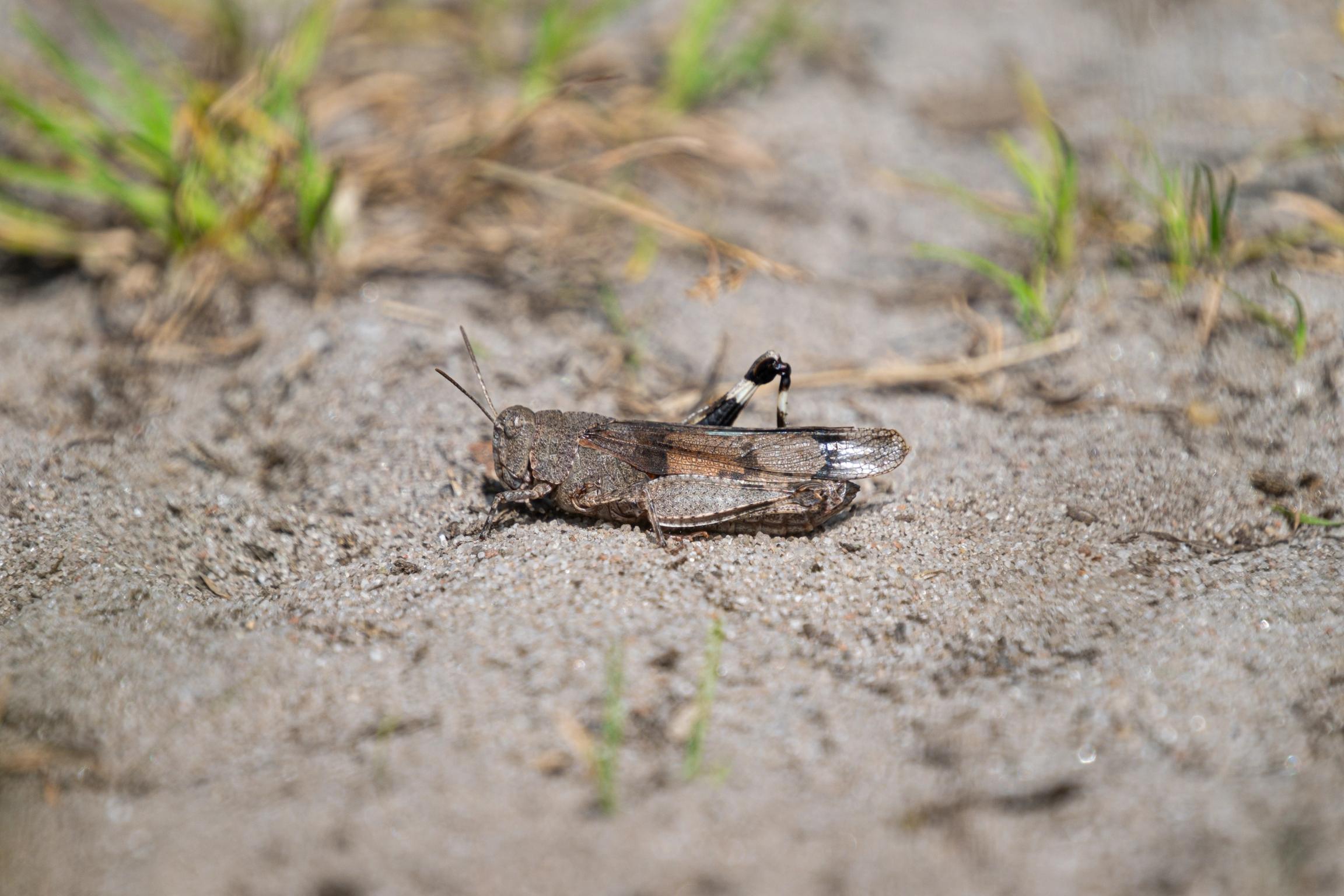 image-42643917bc8c653bbdd87c871b023188e2d1aaa3-6240x4160-jpg