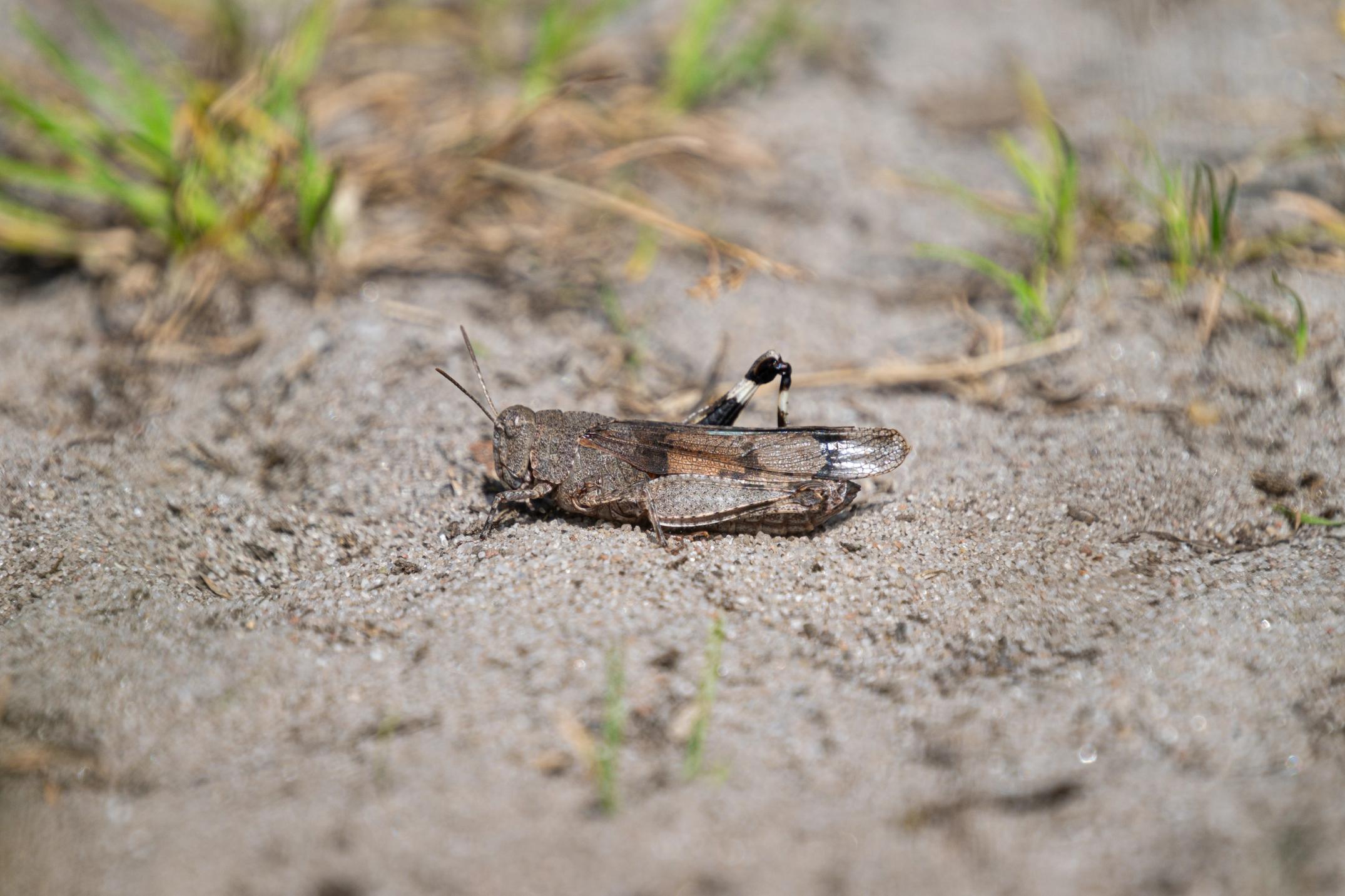 image-42643917bc8c653bbdd87c871b023188e2d1aaa3-6240x4160-jpg