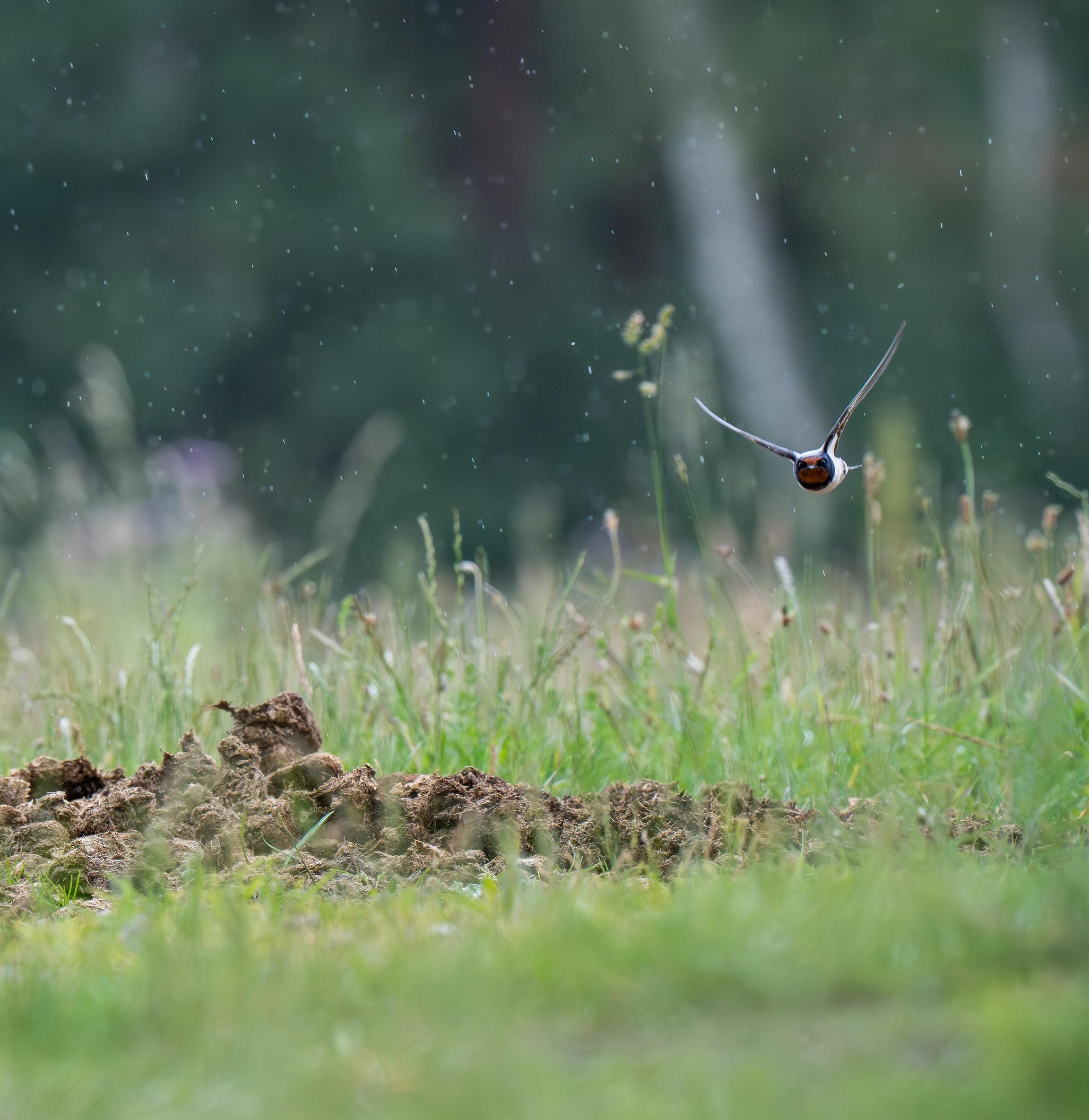 image-4452625f8f13d397a18f554ce11b263719d30a1e-6668x4445-jpg