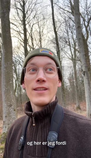 image-447d5ba79af20050a308f000d805d8f250aef9df-1065x1838-png