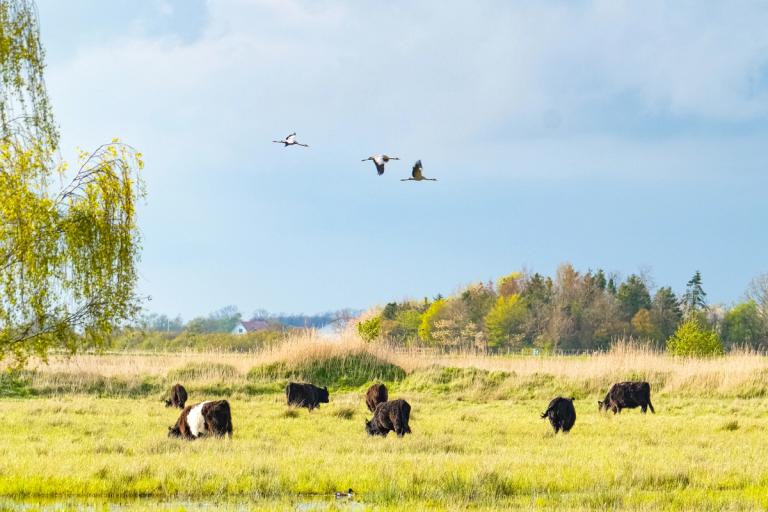 image-516243d1d50660c94409927d971298d82c1290f6-4096x2731-jpg