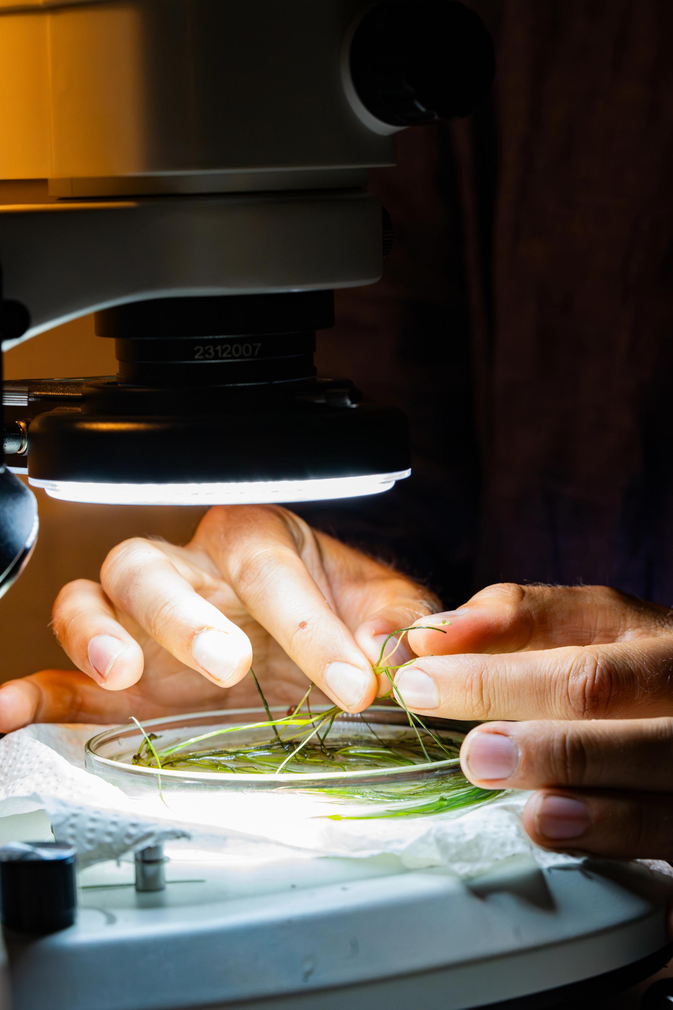 image-5742bdd14ade8f6b2b48a8d4d06565714c3e53e9-4672x7008-jpg