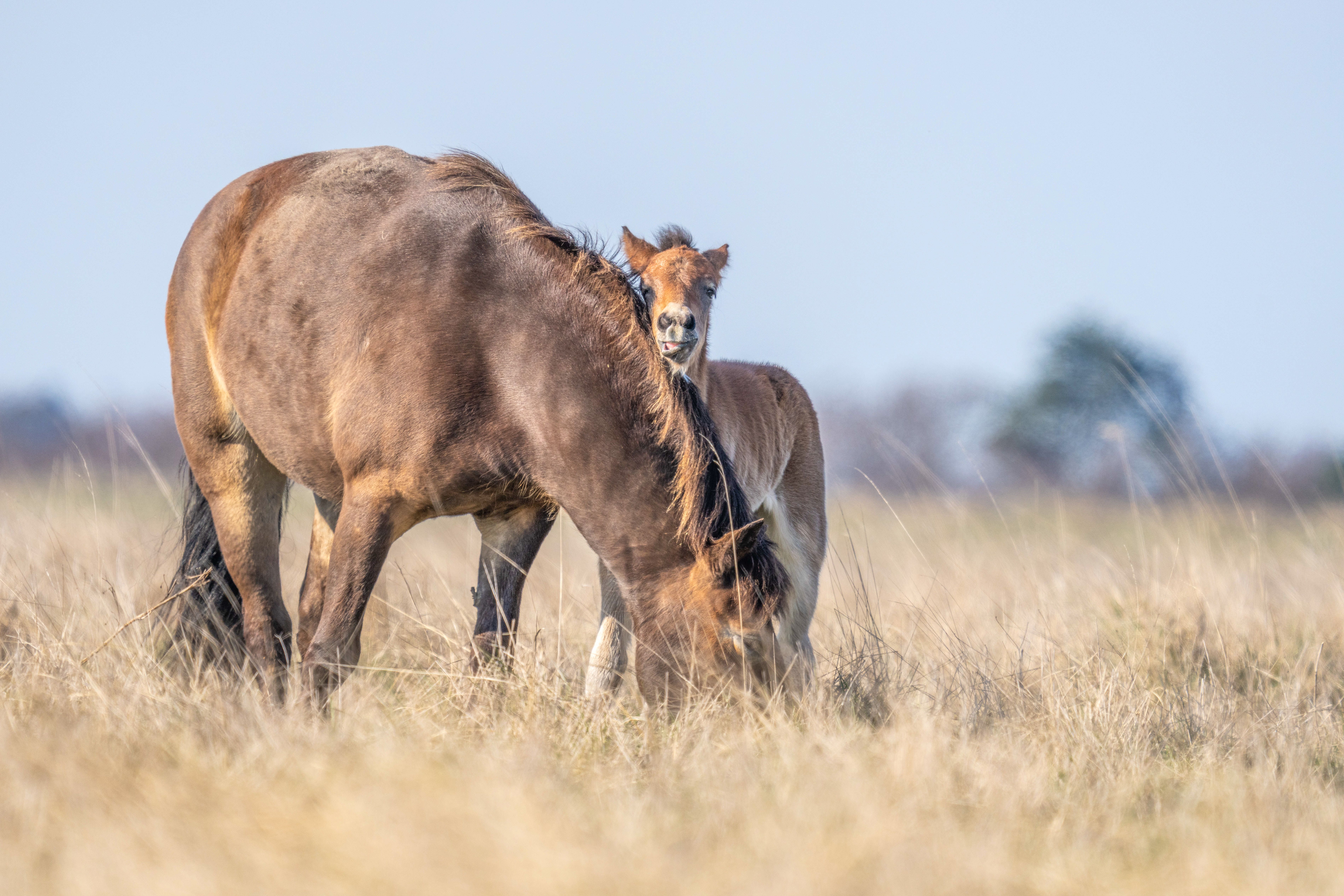 image-5caf3d5b79606f3bb3b87f85c341e8c4782fe310-7602x5068-jpg