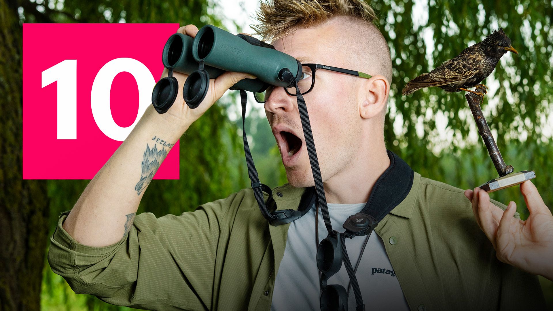 image-60ead1deec6d52068e941924b188bf7719ea1138-1920x1080-jpg