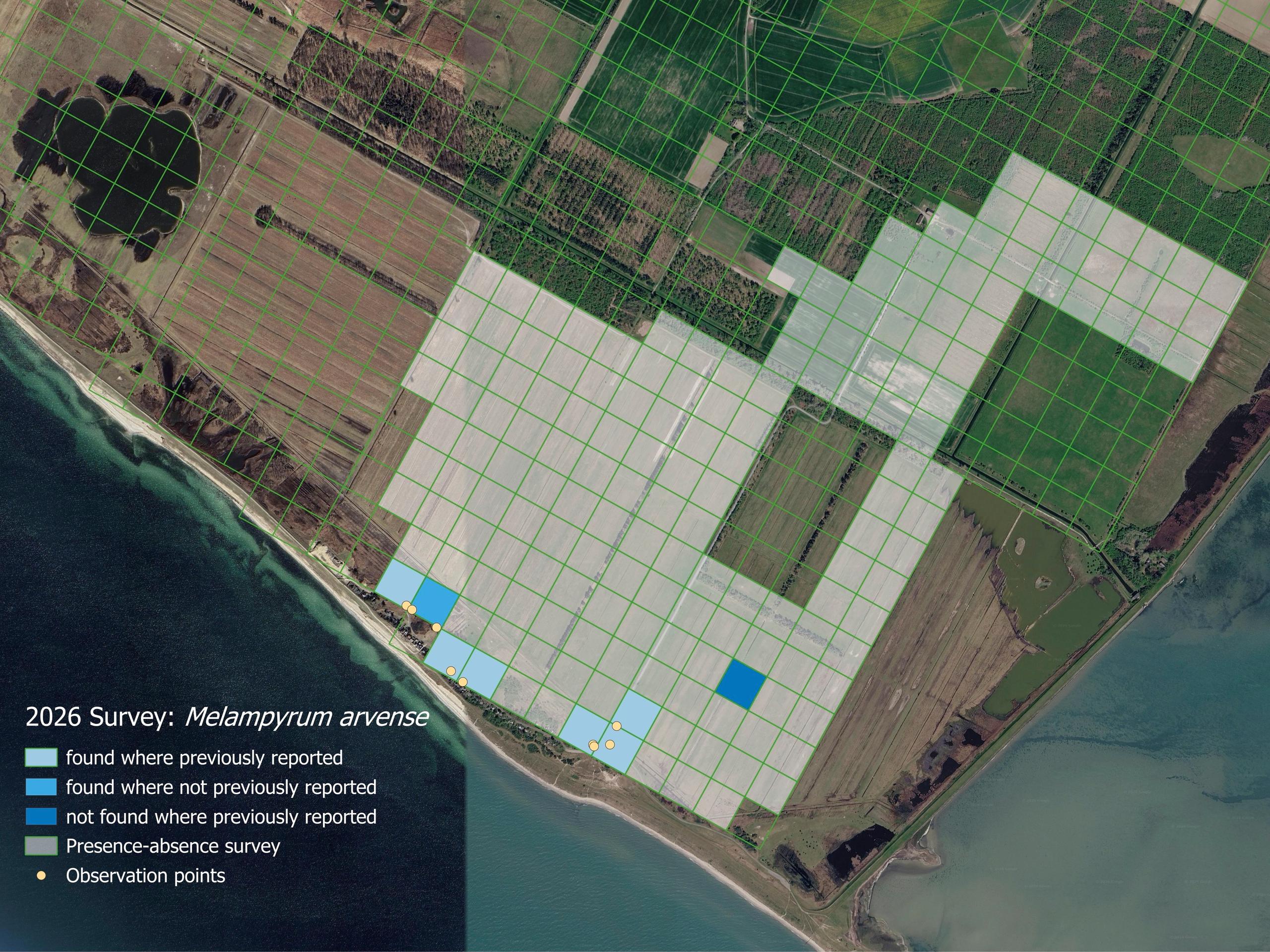 Kort over observationer af Melampyrum Arvense