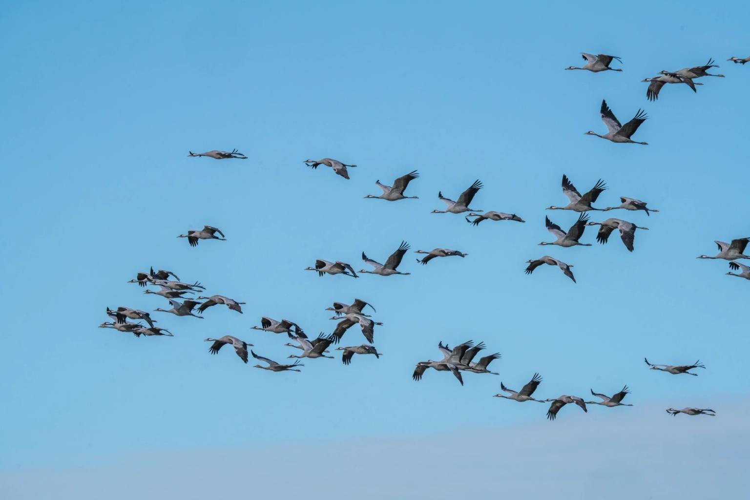 image-71b4e7daf57e26b21a0611954fae44d2f6224a01-9504x6336-jpg