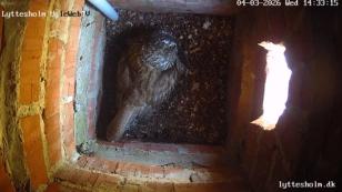 image-751cdd179db14fd2cfb88aff9eccb6a05dc9f904-1366x768-jpg