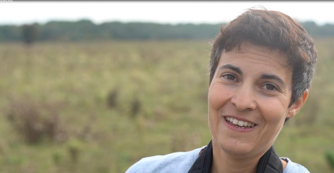 Large herbivores boost biodiversity