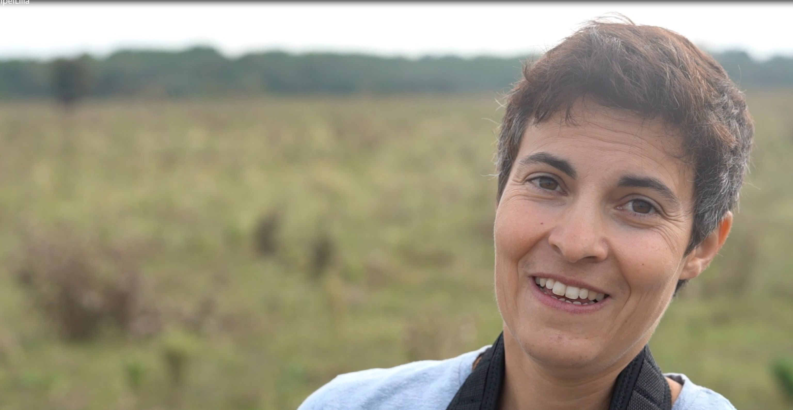 Large herbivores boost biodiversity