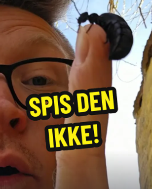 image-83ba4f501710b70eb1f5b8d28d8593359e6342fb-263x326-png