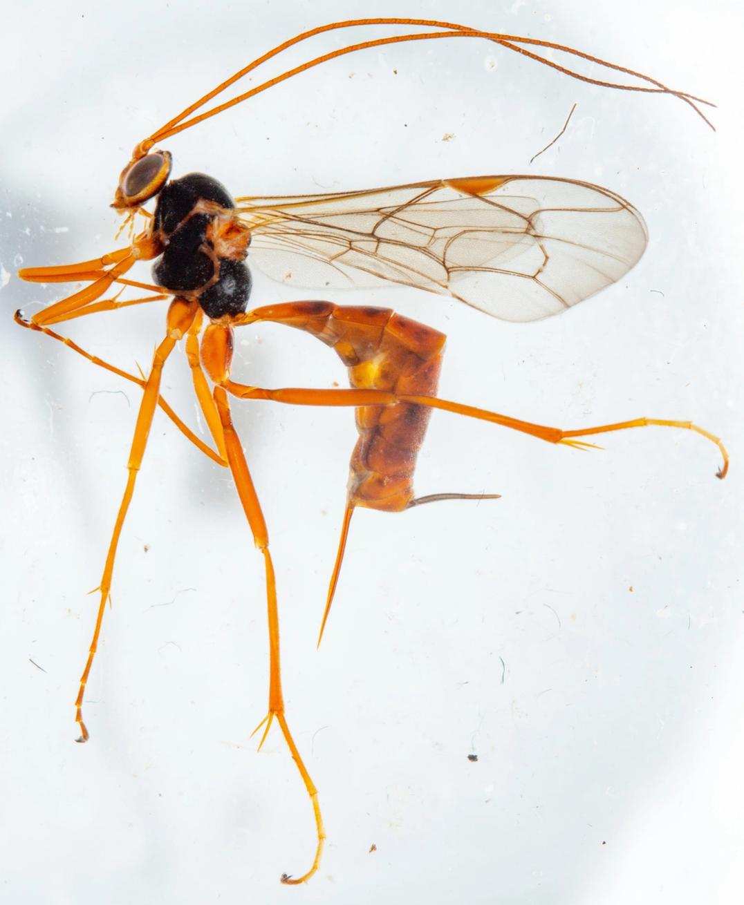 image-8473eaa01633793917711283dc204429d556ce7f-3304x4023-jpg