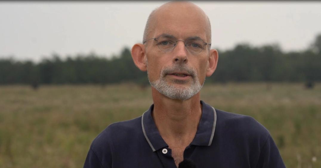 Uden de store dyr fungerer økosystemerne ikke