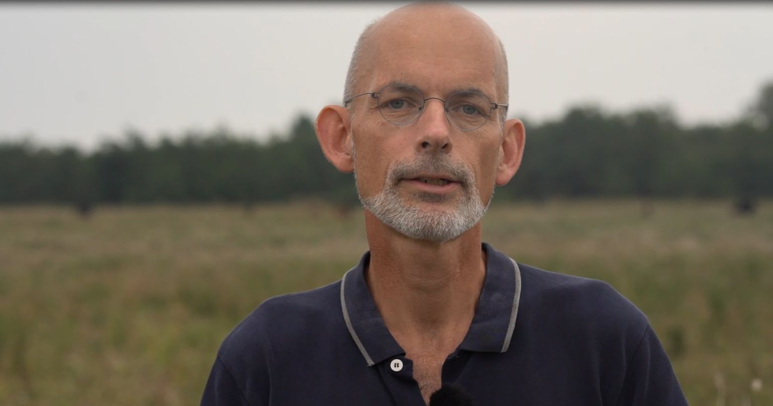 Uden de store dyr fungerer økosystemerne ikke