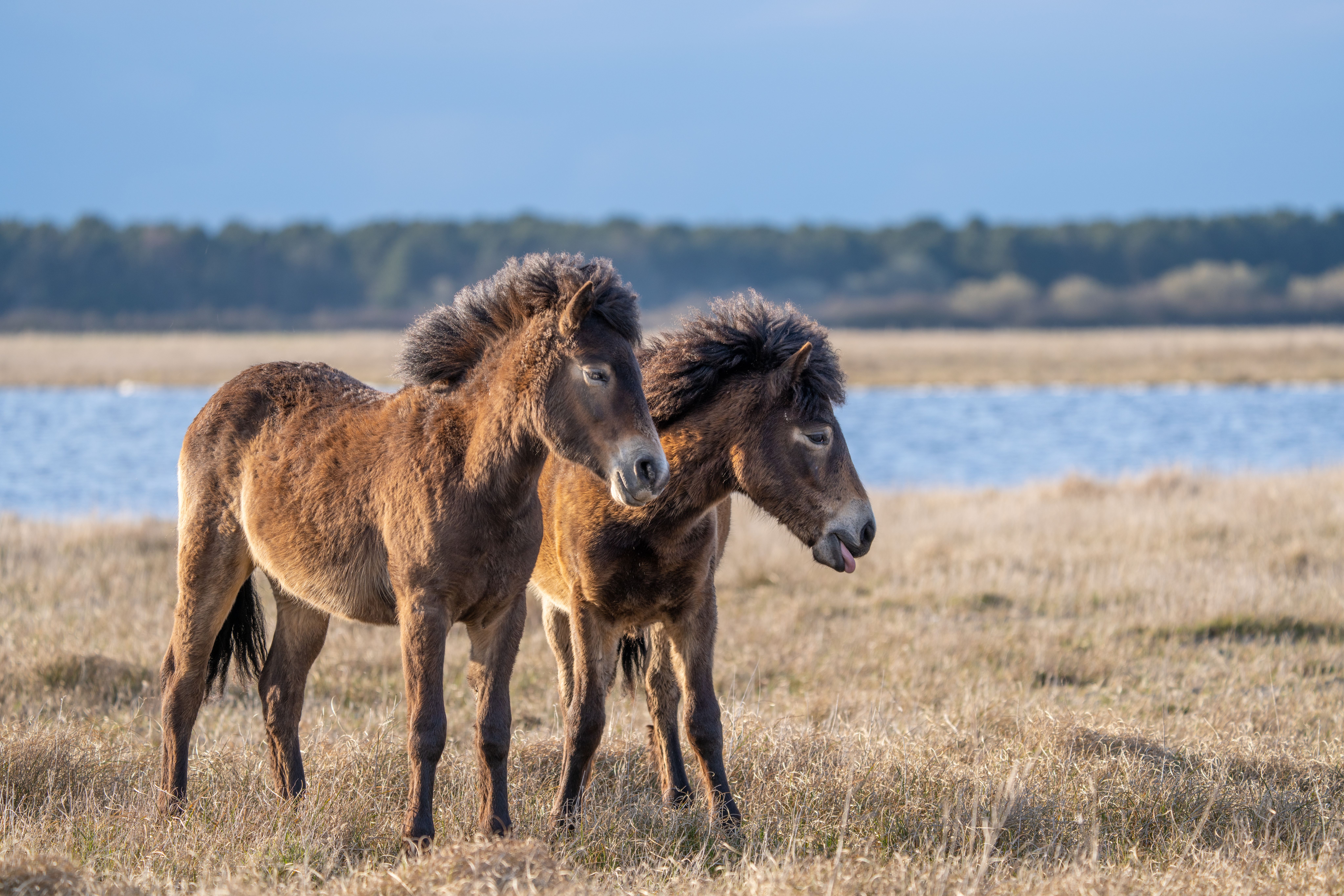 image-8932033e60fb119ebfdf9d521b9aaa0e589e8917-9504x6336-jpg